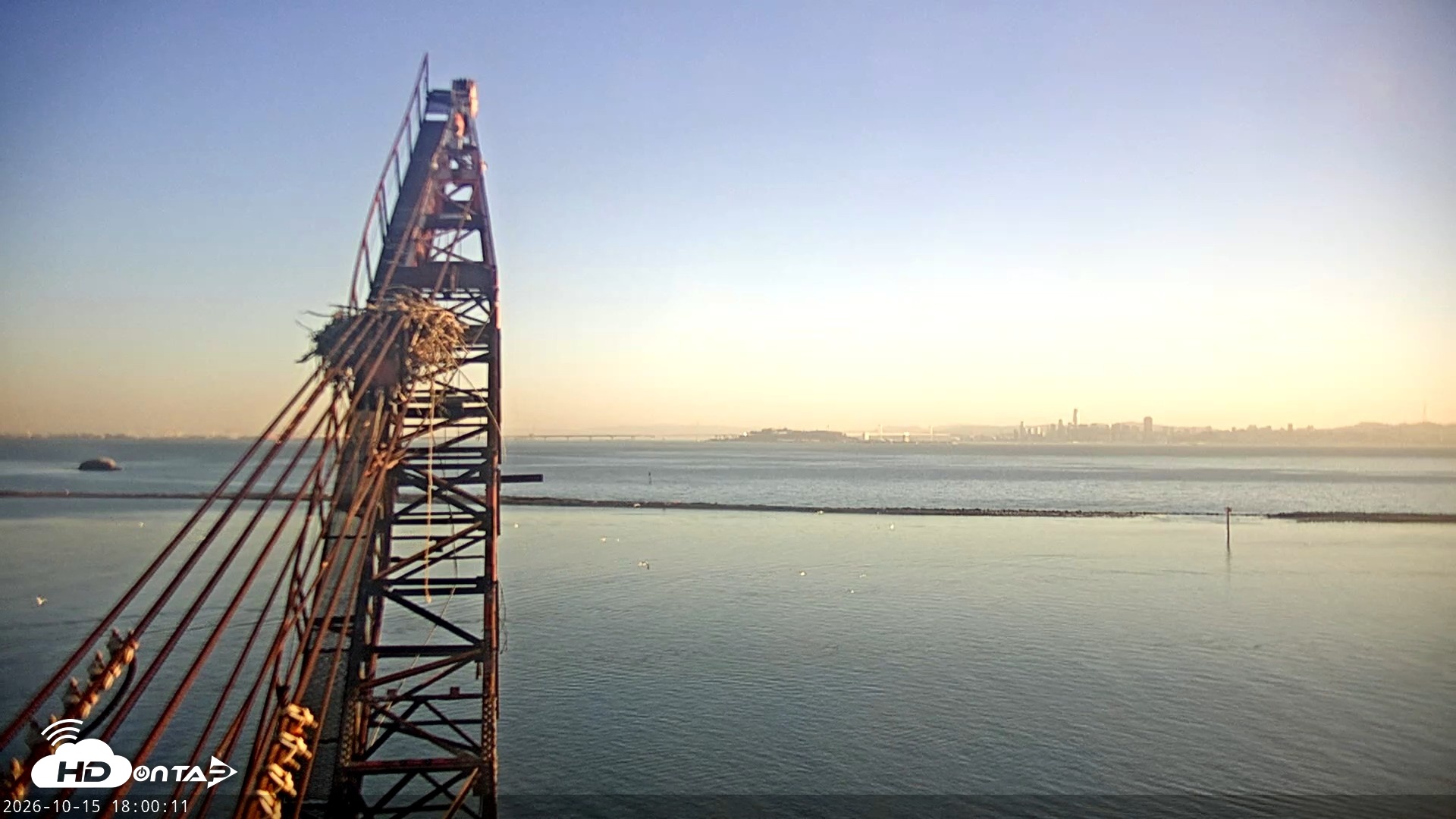 Snapshot of San Francisco Bay Osprey Nest Live Webcam taken Oct 15, 2026, 6:01pm PDT