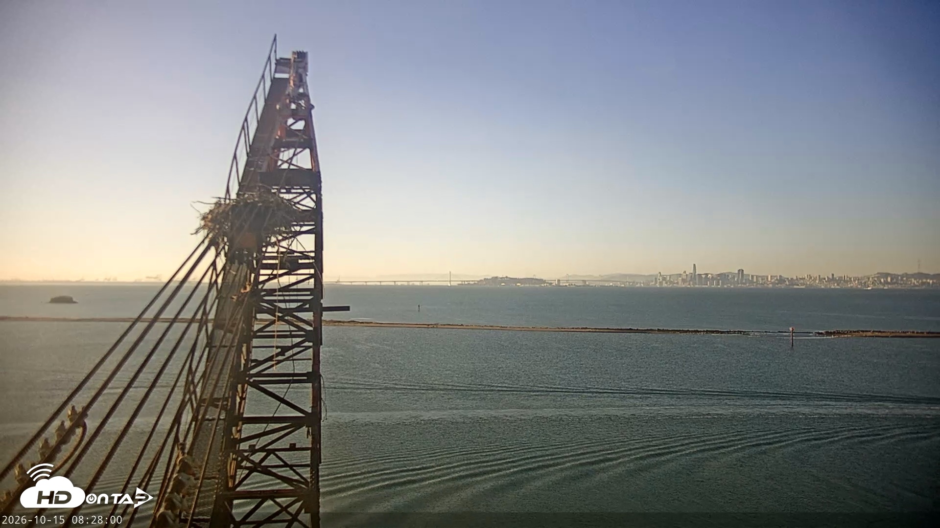 Snapshot of San Francisco Bay Osprey Nest Live Webcam taken Oct 15, 2026, 8:28am PDT
