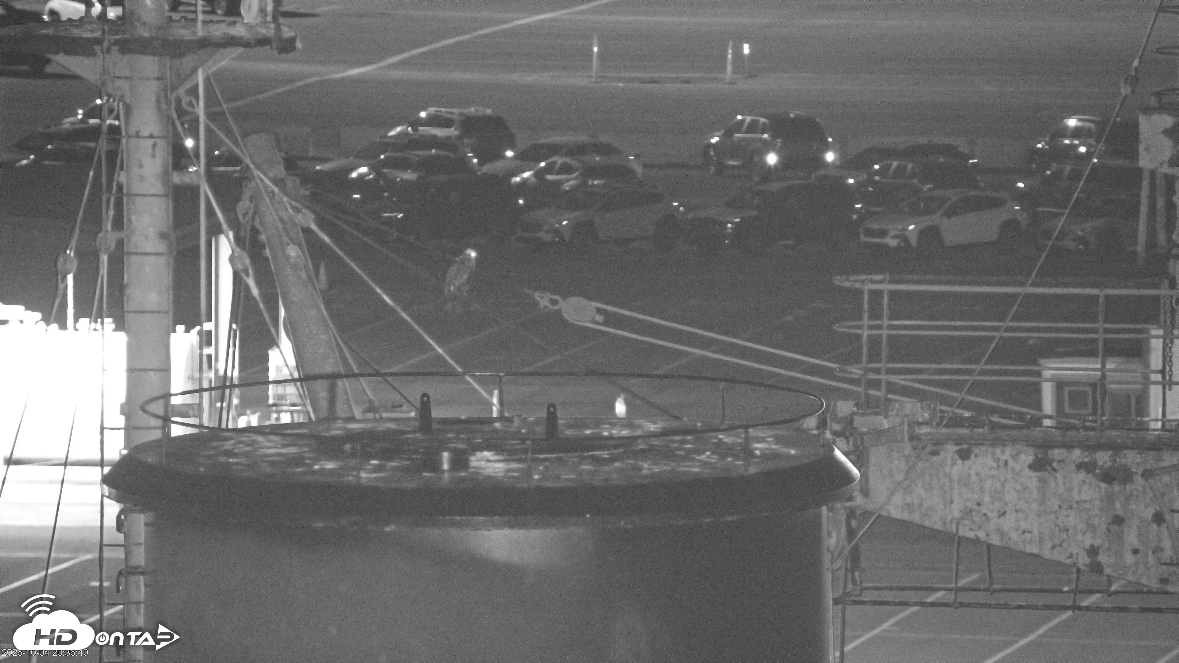 Snapshot of San Francisco Bay Osprey Nest Live Webcam taken Oct 4, 2026, 8:38pm PDT