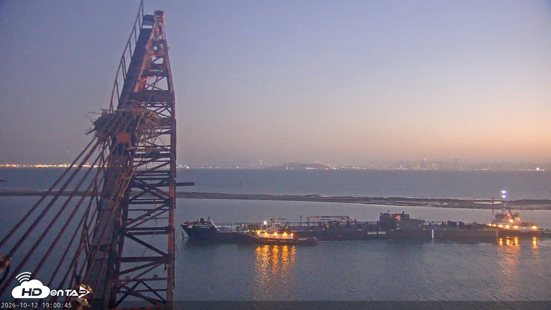 Snapshot of San Francisco Bay Osprey Nest Live Webcam taken Oct 12, 2026, 7:01pm PDT