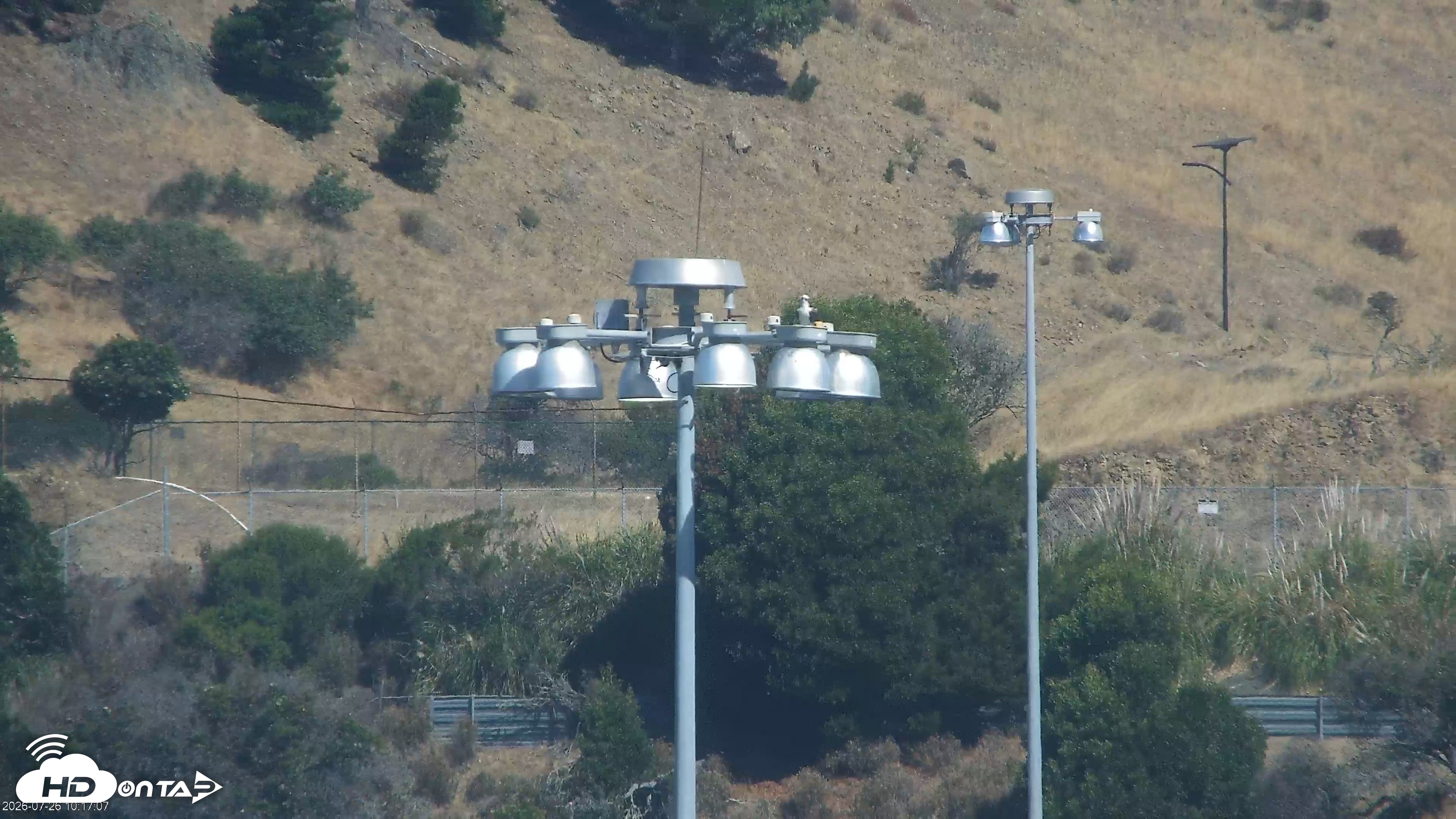 Snapshot of San Francisco Bay Osprey Nest Live Webcam taken Jul 26, 2026, 10:18am PDT