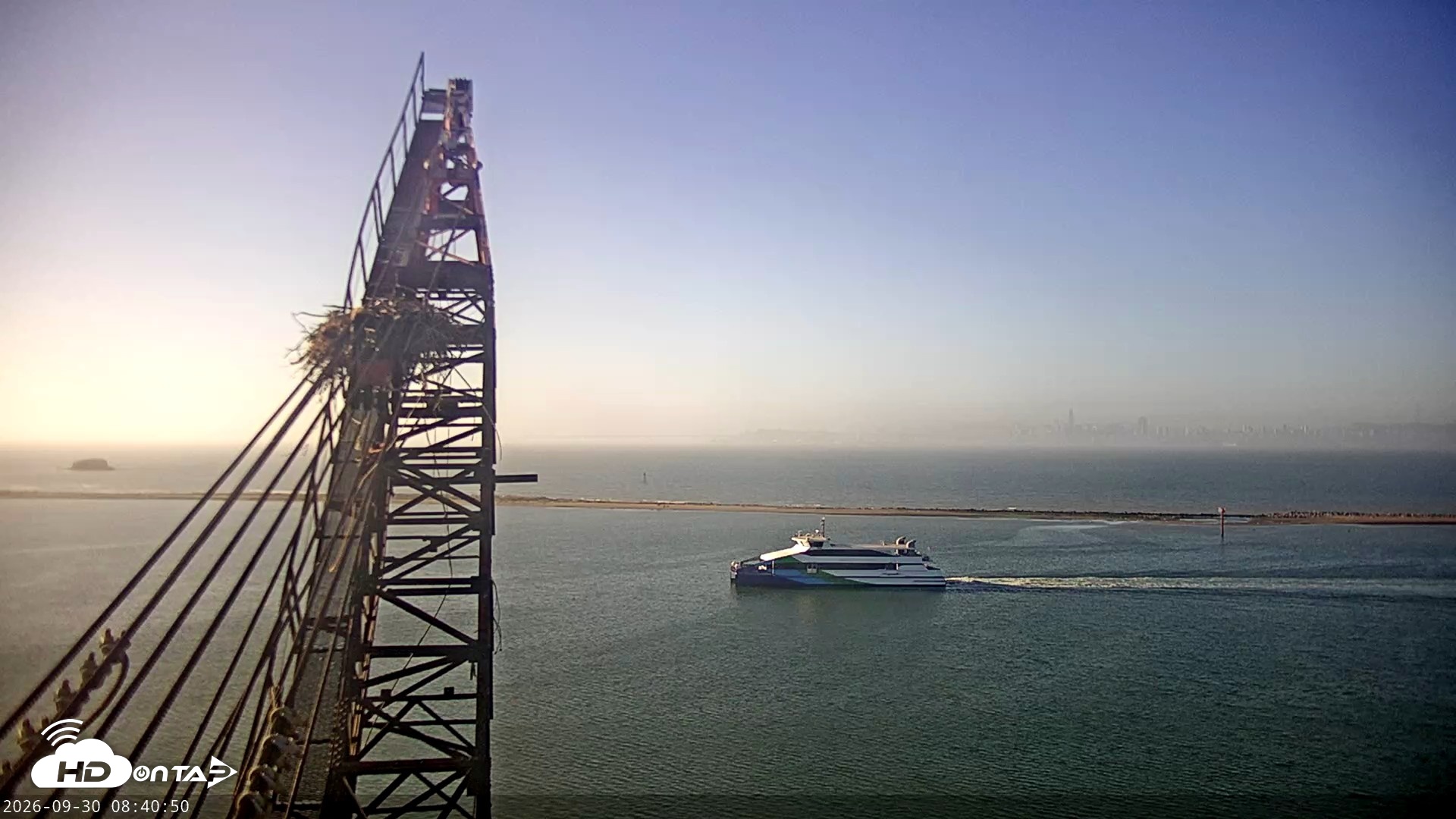Snapshot of San Francisco Bay Osprey Nest Live Webcam taken Sep 30, 2026, 8:42am PDT