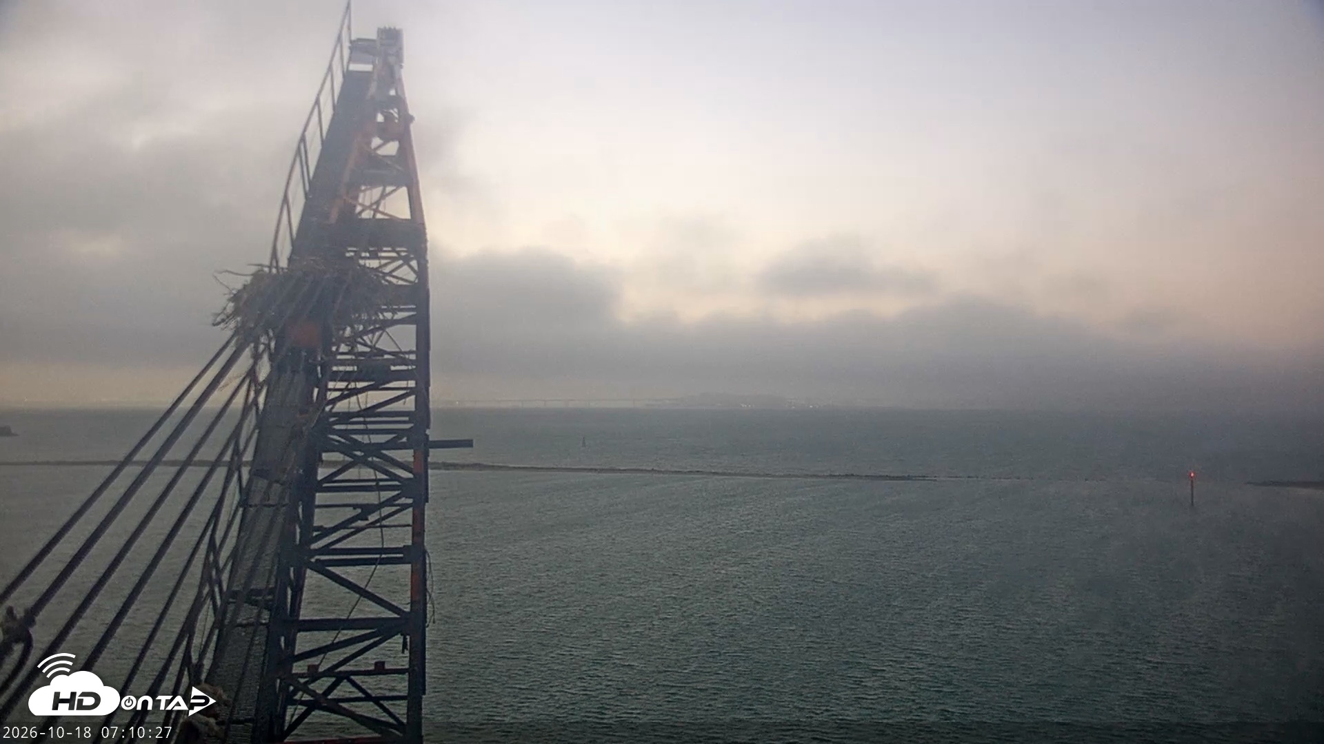 Snapshot of San Francisco Bay Osprey Nest Live Webcam taken Oct 18, 2026, 7:11am PDT