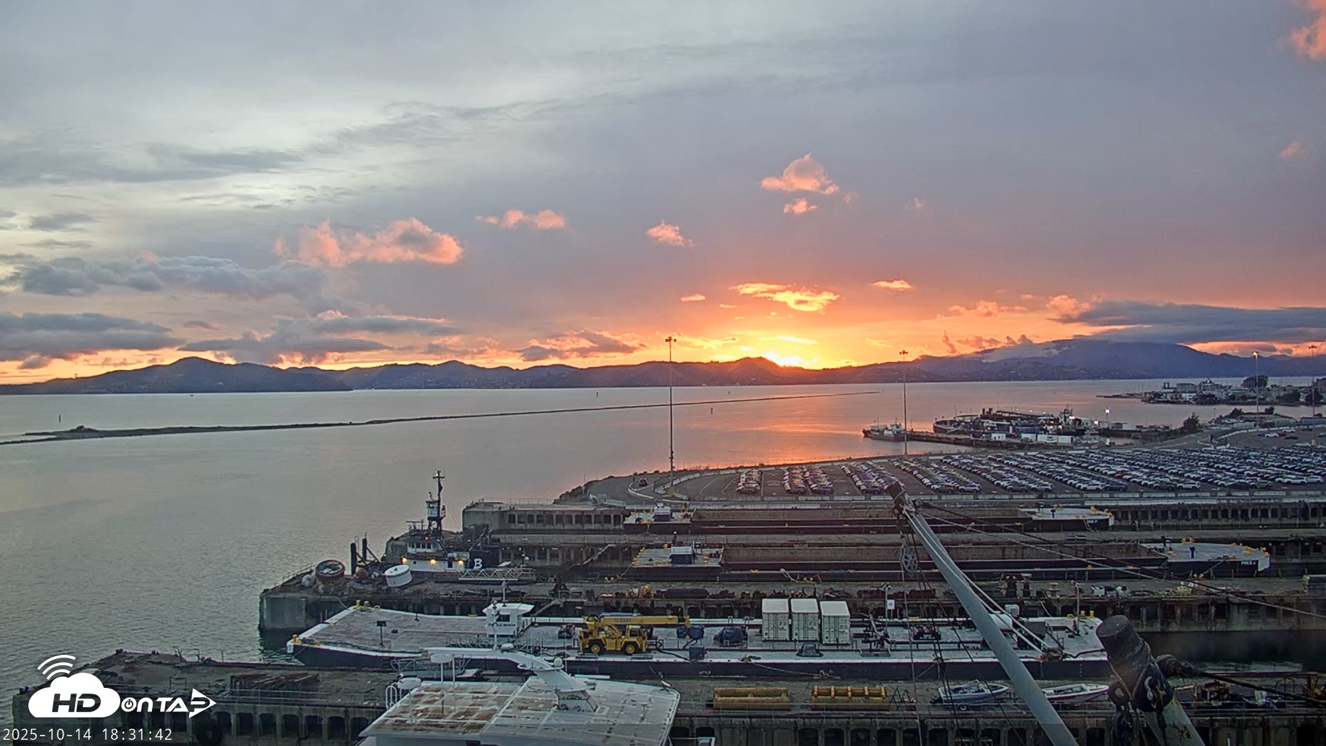 Snapshot of San Francisco Bay Osprey Nest Live Webcam taken Oct 14, 2025, 6:32pm PDT