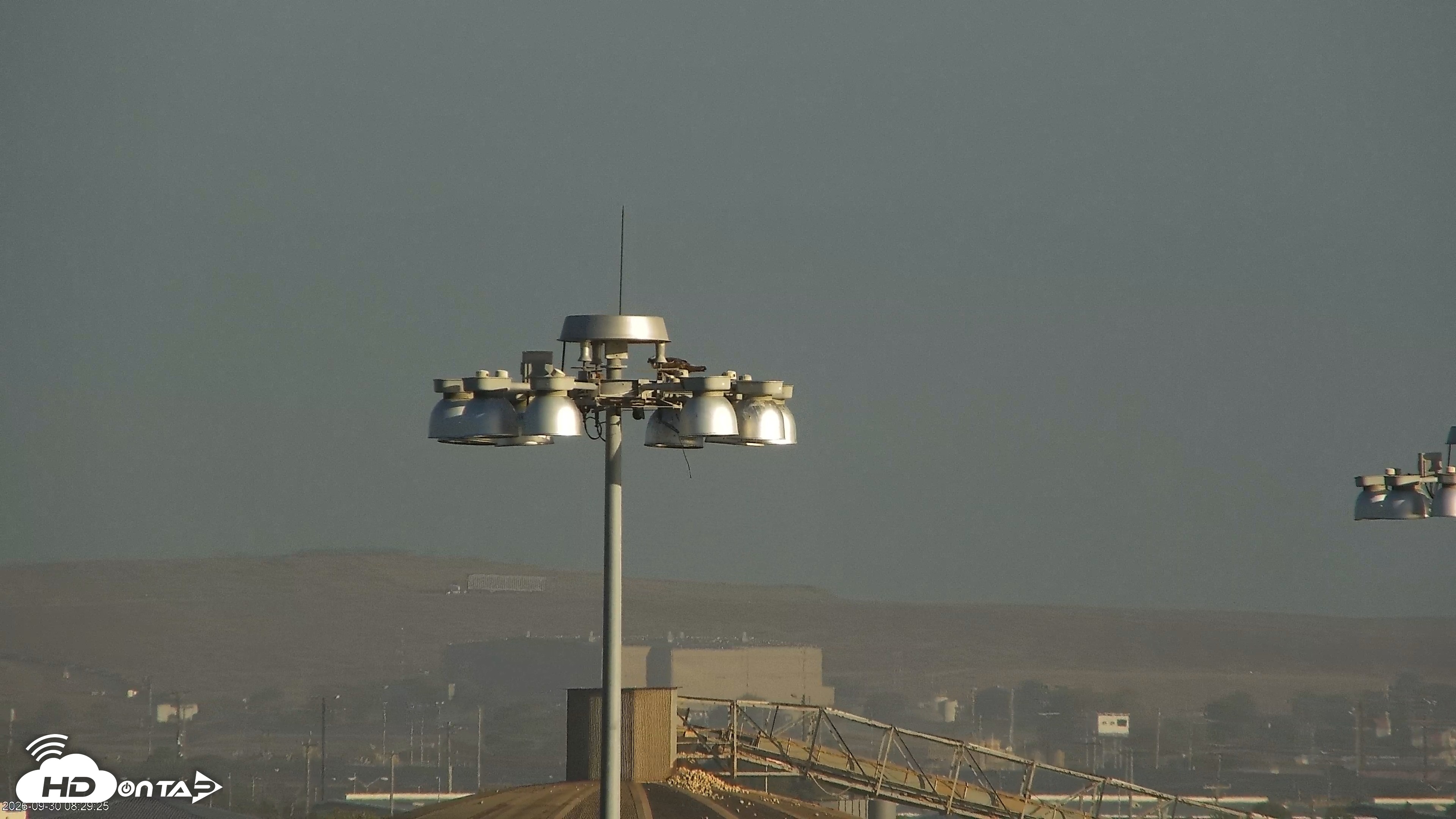 Snapshot of San Francisco Bay Osprey Nest Live Webcam taken Sep 30, 2026, 8:34am PDT
