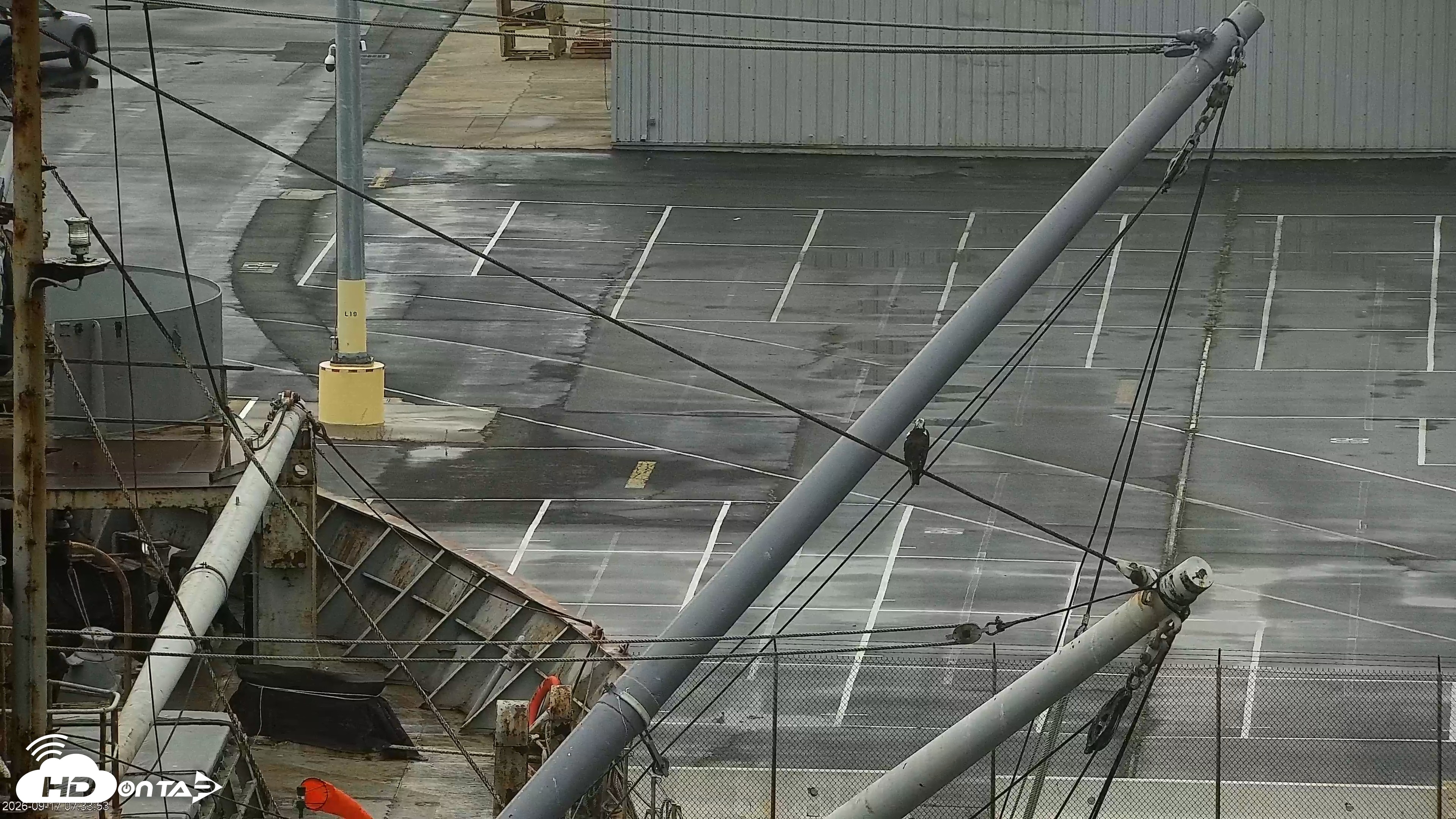 Snapshot of San Francisco Bay Osprey Nest Live Webcam taken Sep 17, 2026, 7:38am PDT