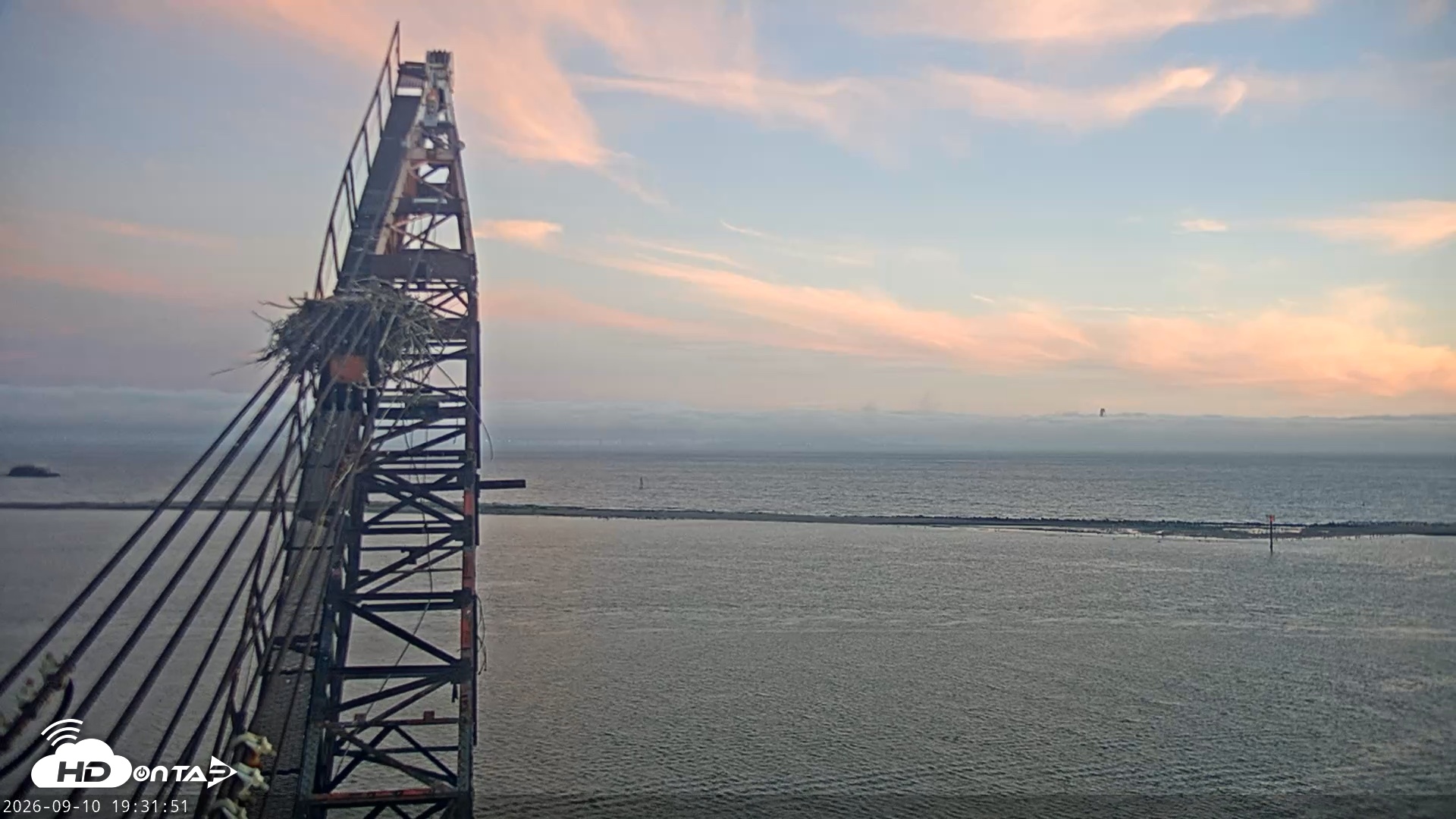 Snapshot of San Francisco Bay Osprey Nest Live Webcam taken Sep 10, 2026, 7:32pm PDT