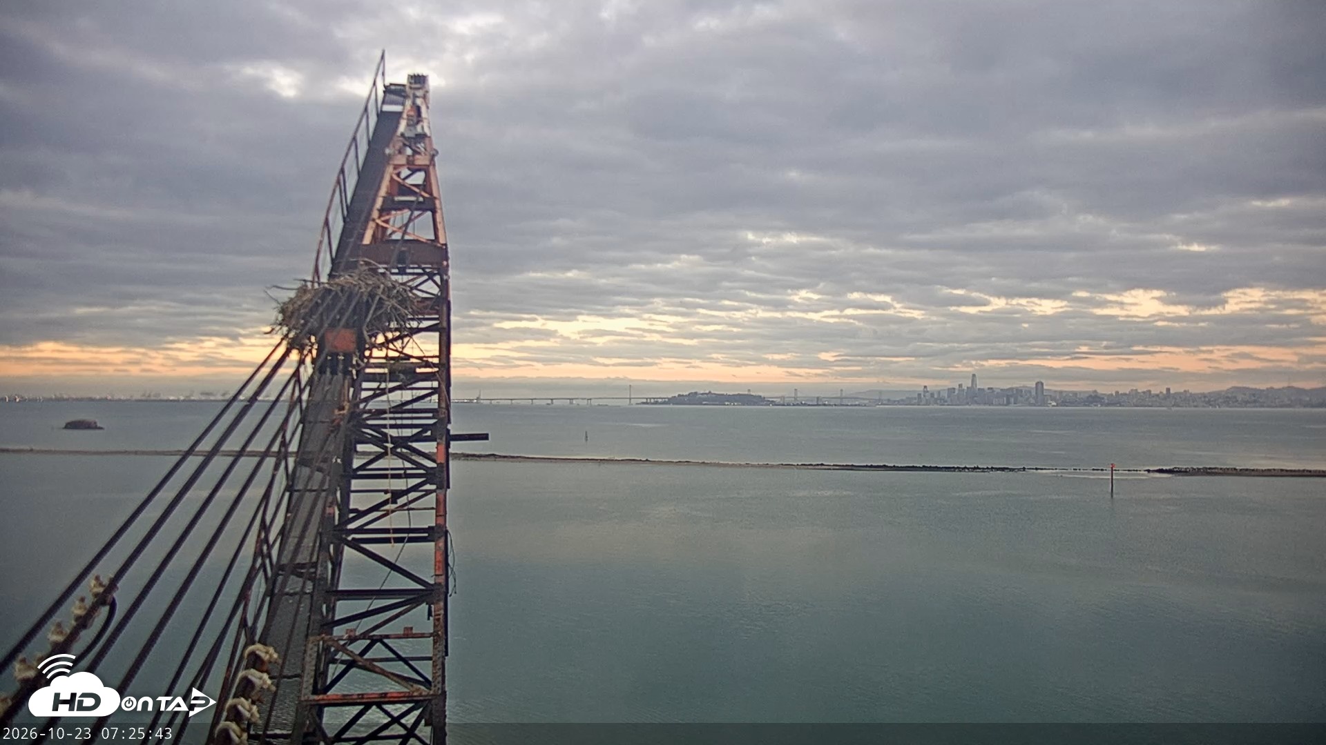 Snapshot of San Francisco Bay Osprey Nest Live Webcam taken Oct 23, 2026, 7:26am PDT