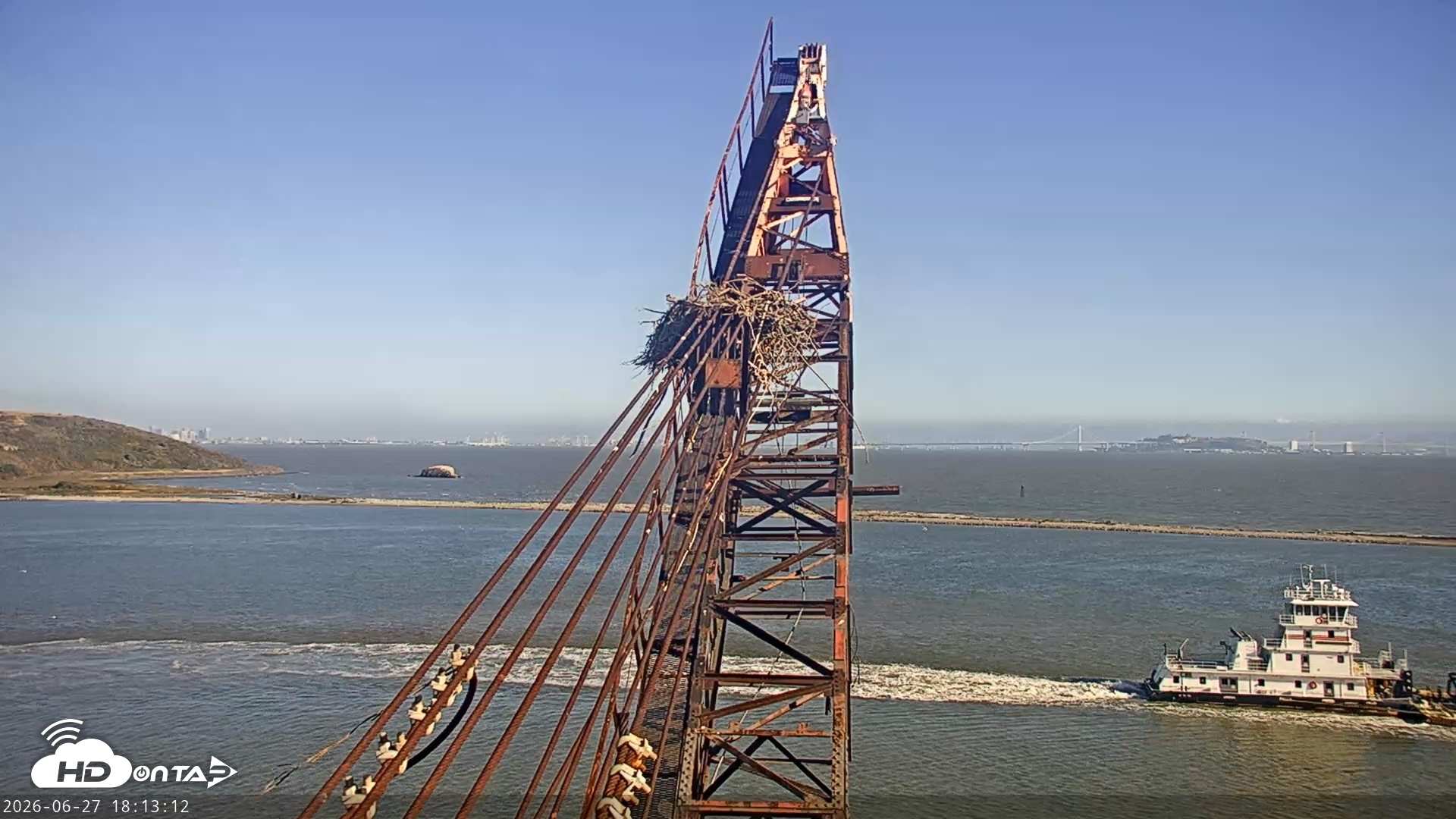 Snapshot of San Francisco Bay Osprey Nest Live Webcam taken Jun 27, 2026, 6:13pm PDT