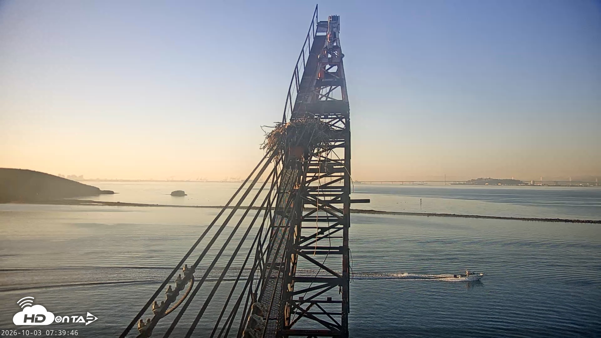 Snapshot of San Francisco Bay Osprey Nest Live Webcam taken Oct 3, 2026, 7:40am PDT