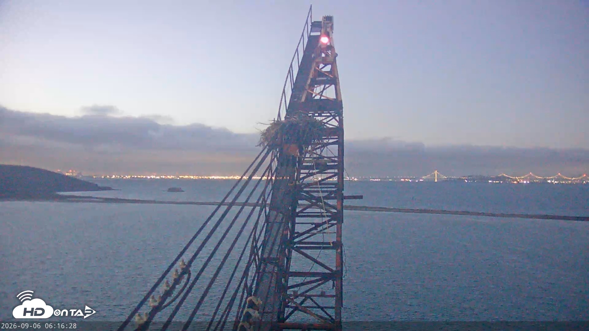 Snapshot of San Francisco Bay Osprey Nest Live Webcam taken Sep 6, 2026, 6:17am PDT