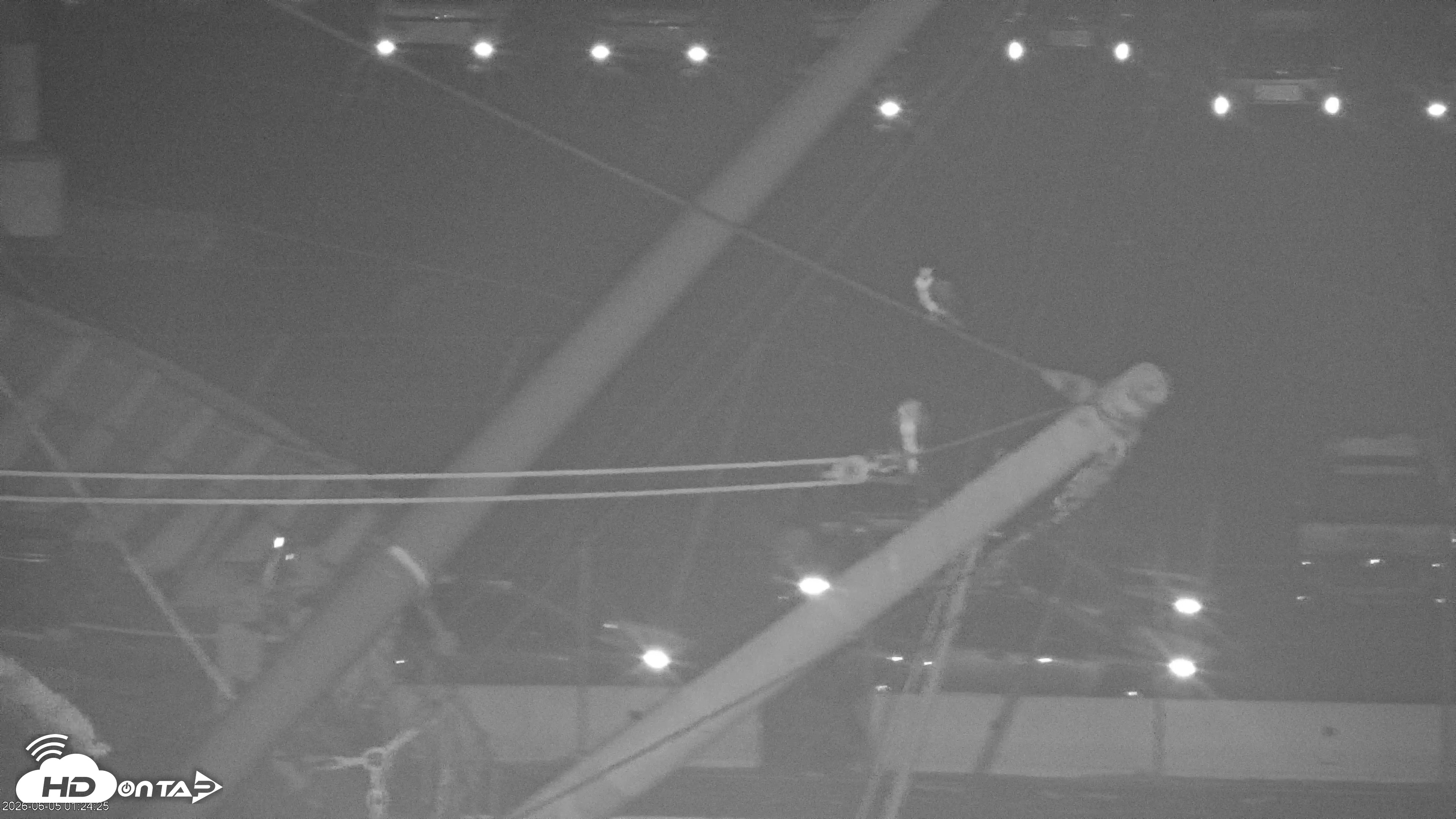 Snapshot of San Francisco Bay Osprey Nest Live Webcam taken Jun 5, 2026, 1:28am PDT