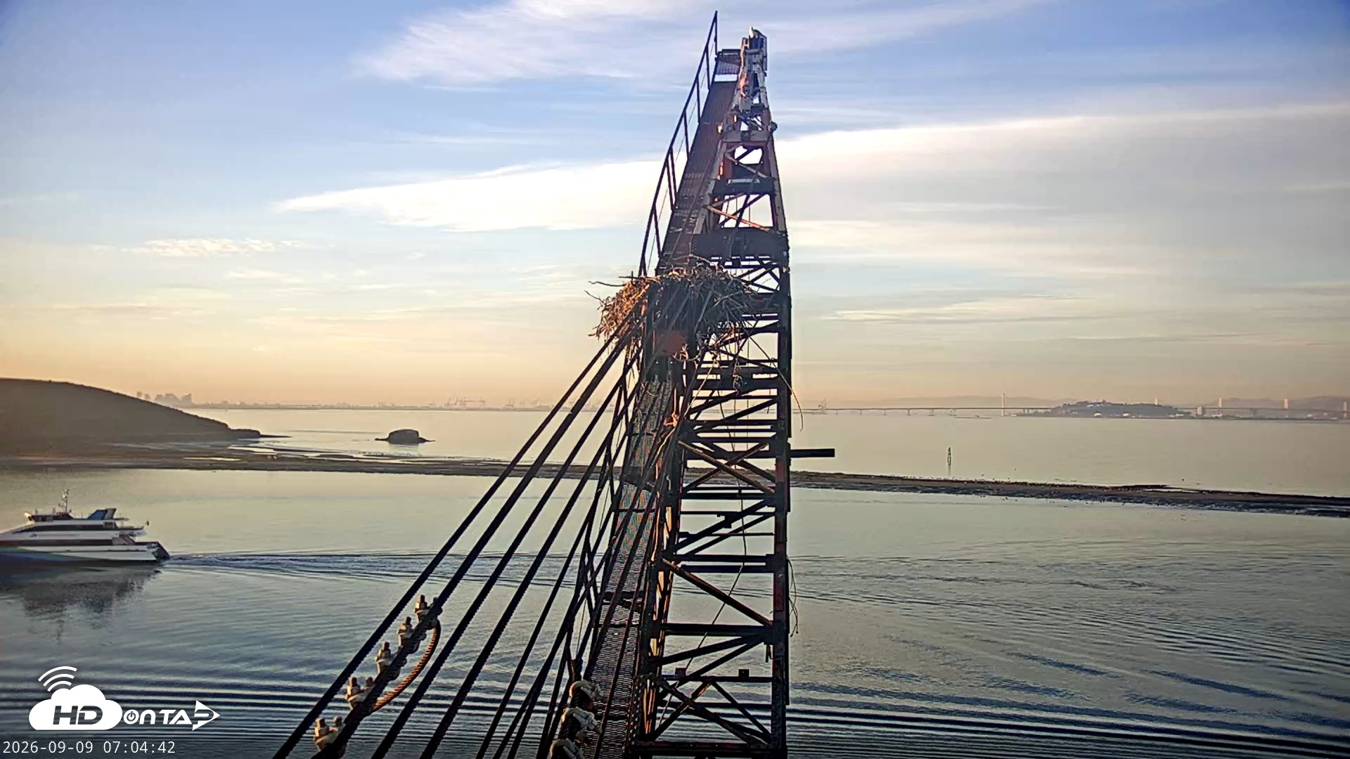 Snapshot of San Francisco Bay Osprey Nest Live Webcam taken Sep 9, 2026, 7:06am PDT
