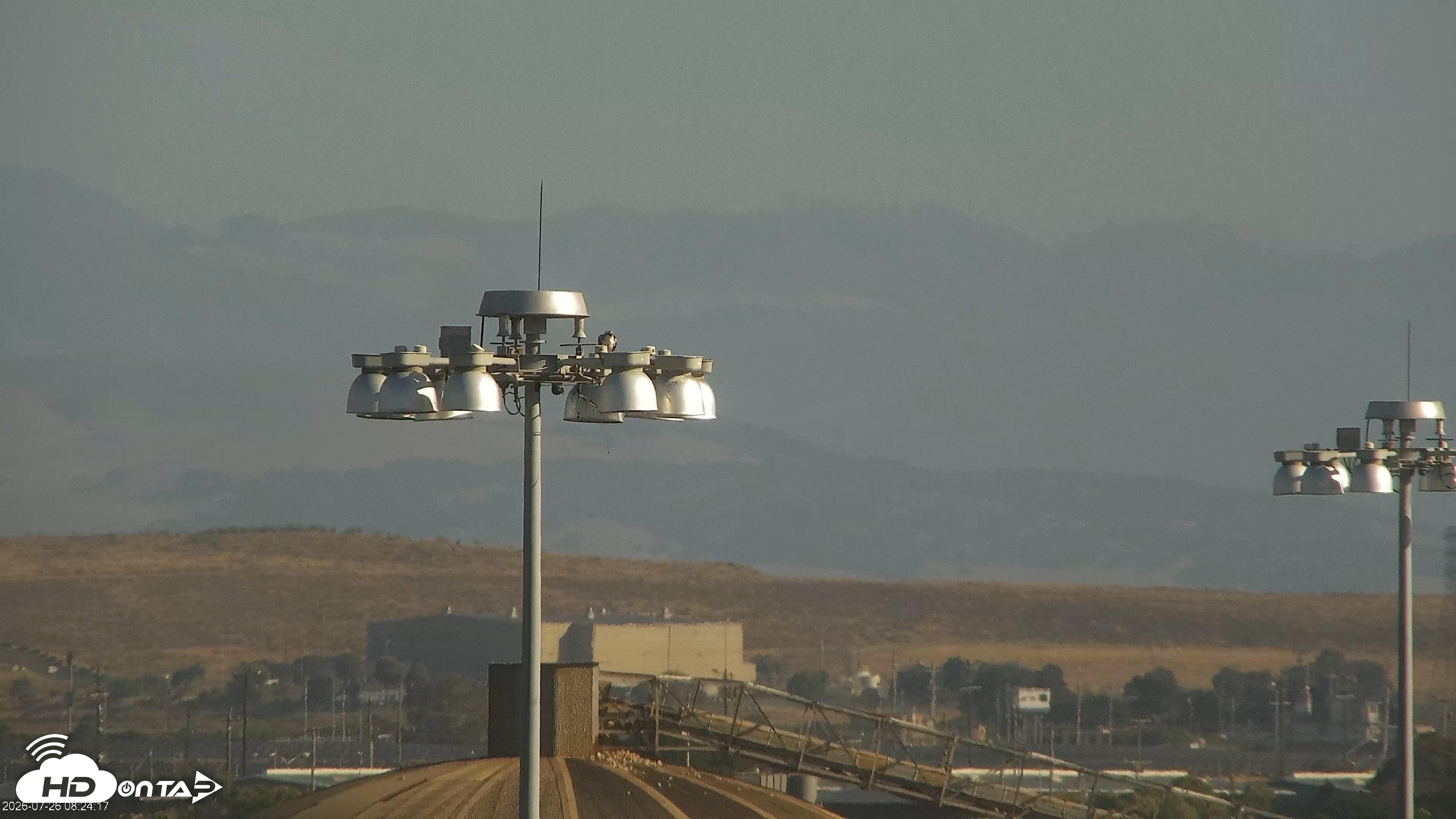 Snapshot of San Francisco Bay Osprey Nest Live Webcam taken Jul 26, 2026, 8:25am PDT