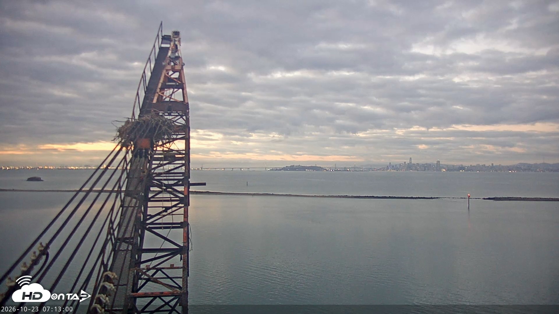 Snapshot of San Francisco Bay Osprey Nest Live Webcam taken Oct 23, 2026, 7:13am PDT