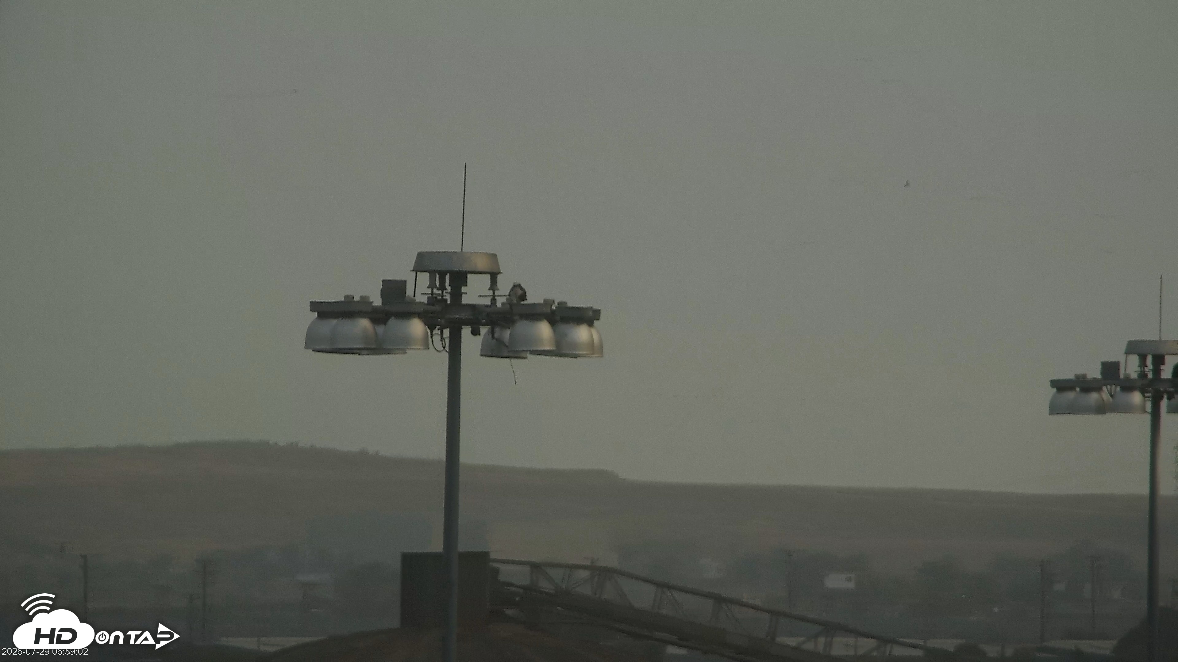Snapshot of San Francisco Bay Osprey Nest Live Webcam taken Jul 29, 2026, 7:01am PDT