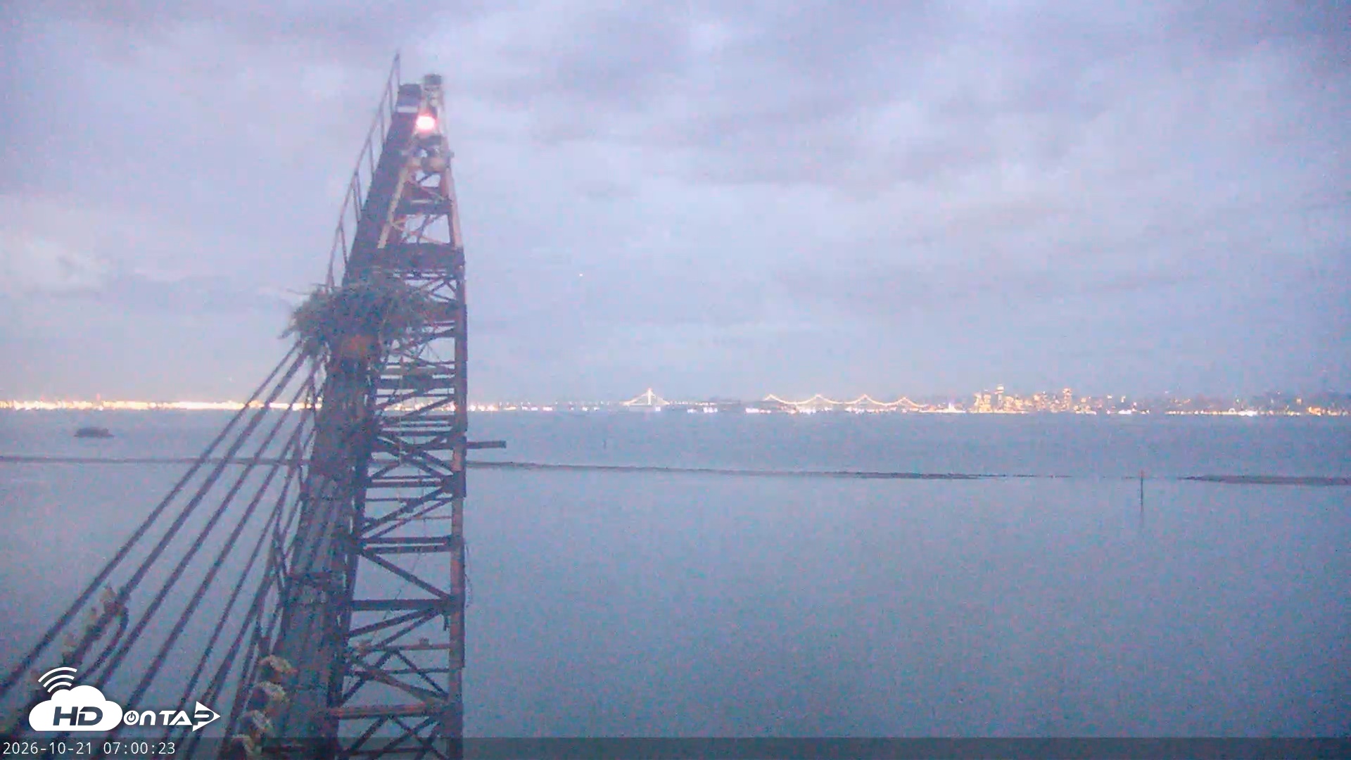 Snapshot of San Francisco Bay Osprey Nest Live Webcam taken Oct 21, 2026, 7:01am PDT