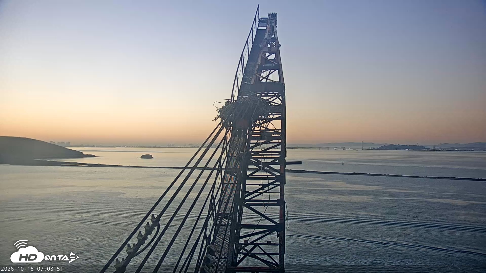 Snapshot of San Francisco Bay Osprey Nest Live Webcam taken Oct 16, 2026, 7:10am PDT