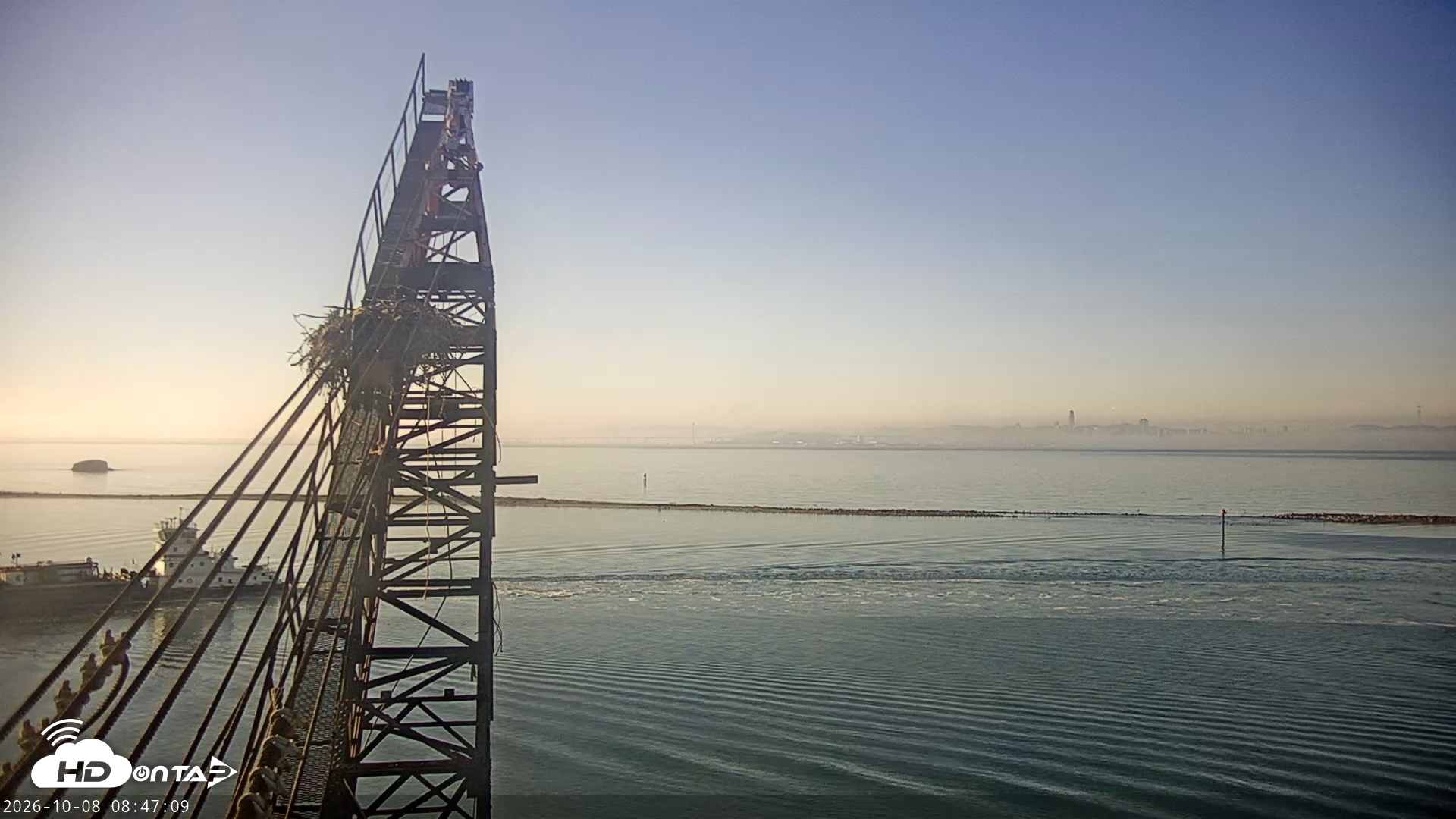 Snapshot of San Francisco Bay Osprey Nest Live Webcam taken Oct 8, 2026, 8:47am PDT