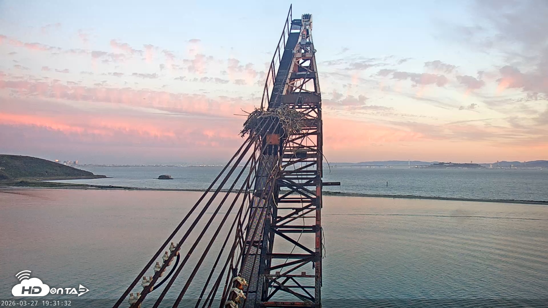 Snapshot of San Francisco Bay Osprey Nest Live Webcam taken Mar 27, 2026, 7:32pm PDT
