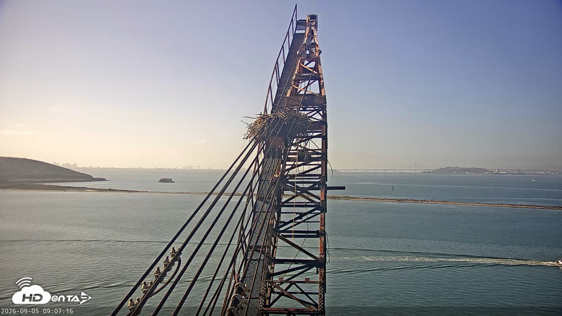 Snapshot of San Francisco Bay Osprey Nest Live Webcam taken Sep 5, 2026, 9:08am PDT