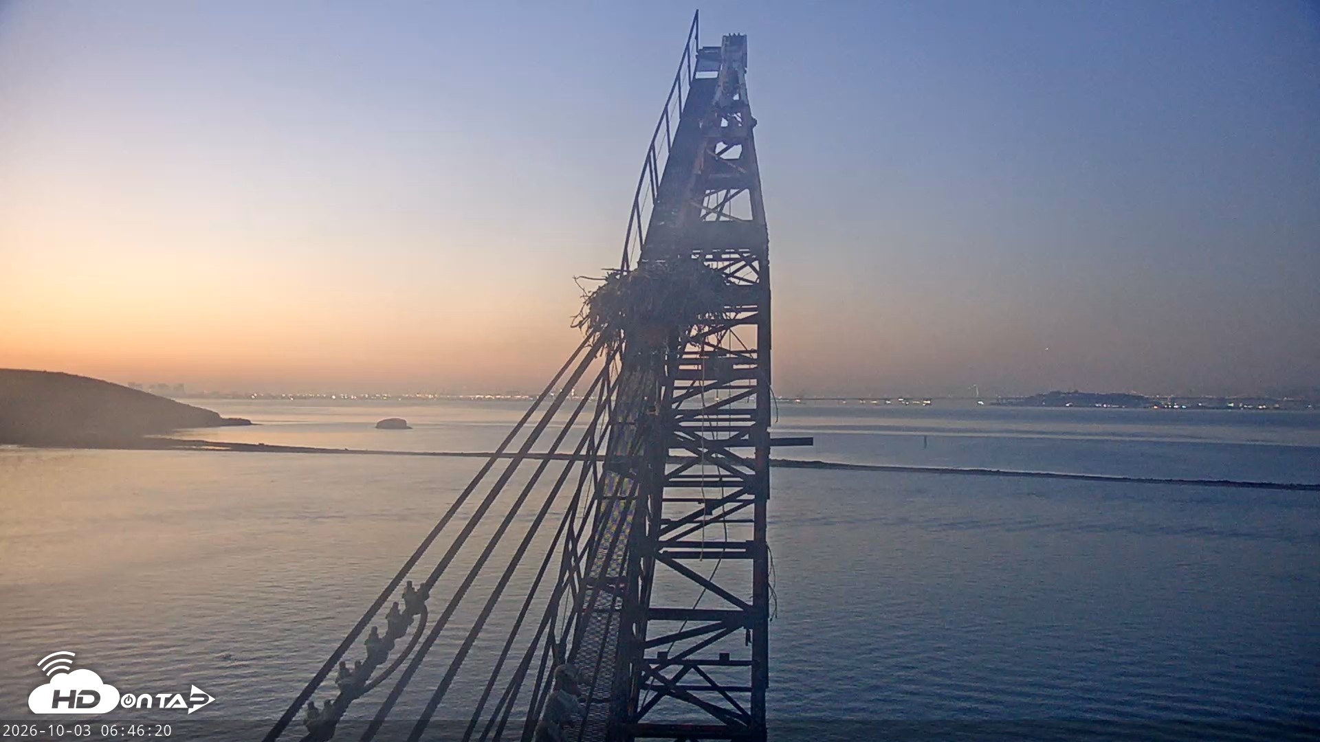 Snapshot of San Francisco Bay Osprey Nest Live Webcam taken Oct 3, 2026, 6:47am PDT