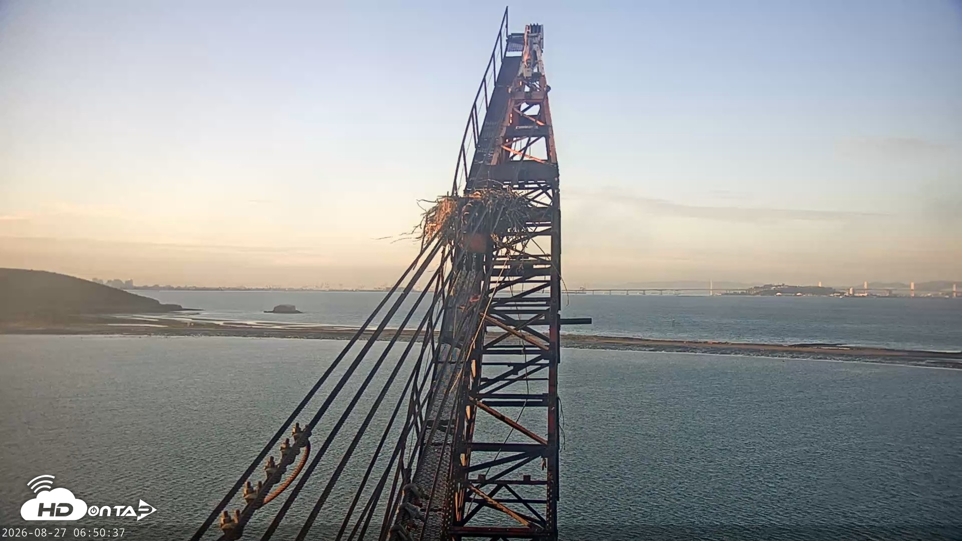 Snapshot of San Francisco Bay Osprey Nest Live Webcam taken Aug 27, 2026, 6:51am PDT