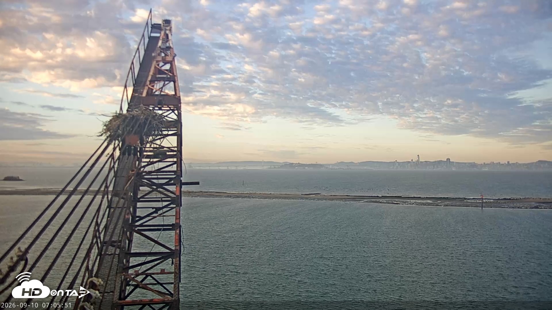 Snapshot of San Francisco Bay Osprey Nest Live Webcam taken Sep 10, 2026, 7:06am PDT