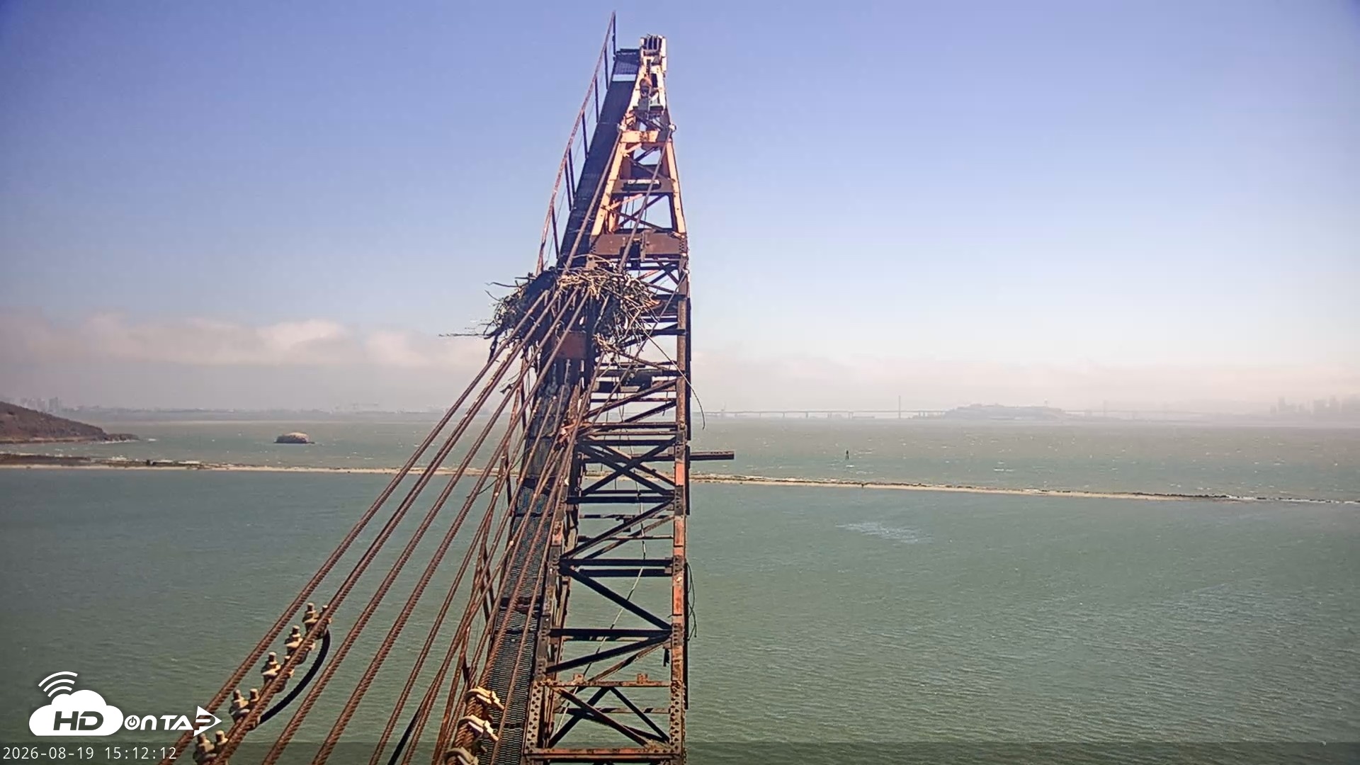Snapshot of San Francisco Bay Osprey Nest Live Webcam taken Aug 19, 2026, 3:12pm PDT