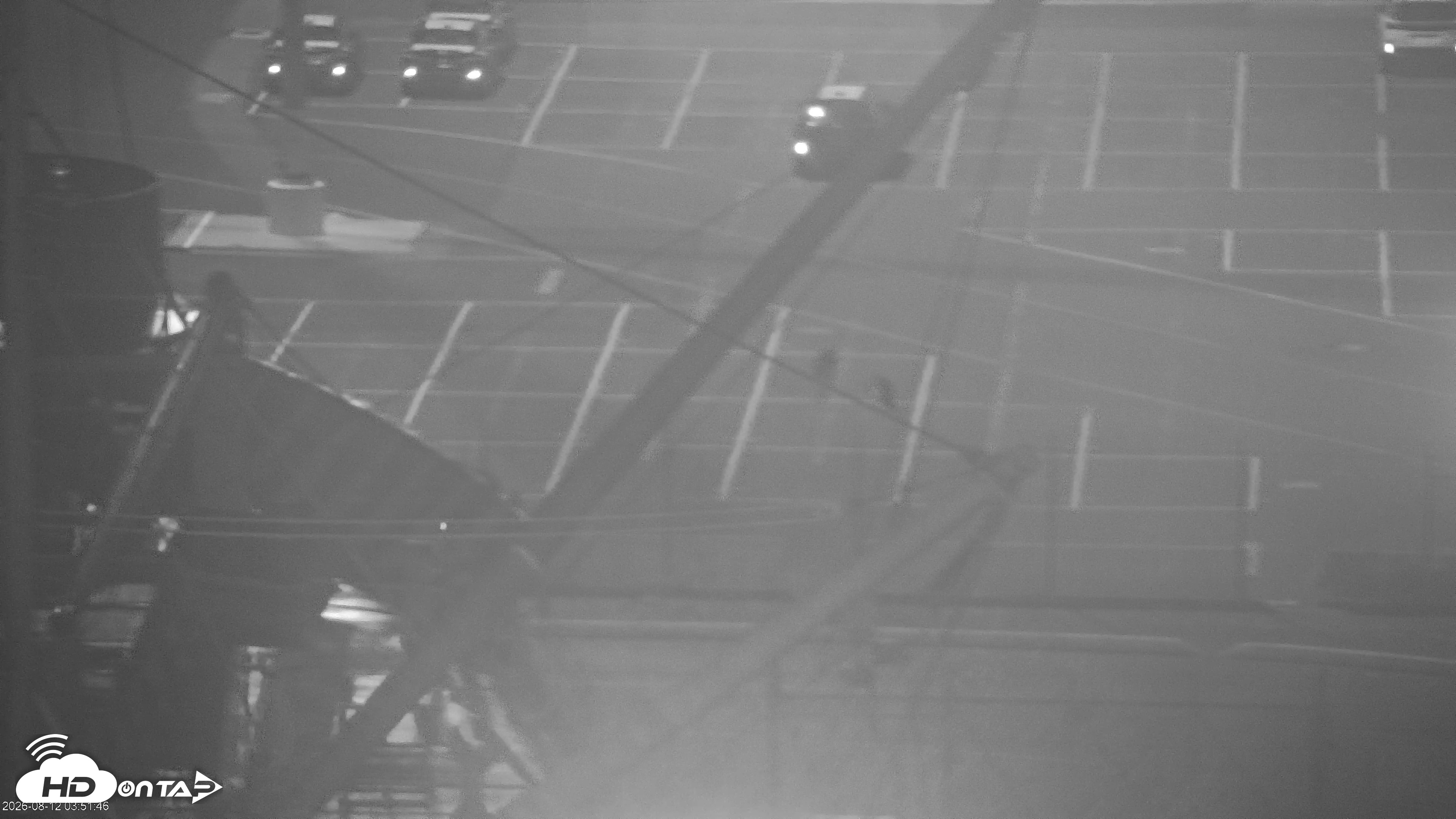 Snapshot of San Francisco Bay Osprey Nest Live Webcam taken Aug 12, 2026, 3:56am PDT