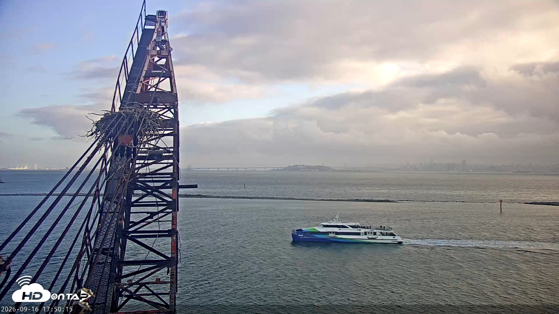 Snapshot of San Francisco Bay Osprey Nest Live Webcam taken Sep 16, 2026, 5:51pm PDT