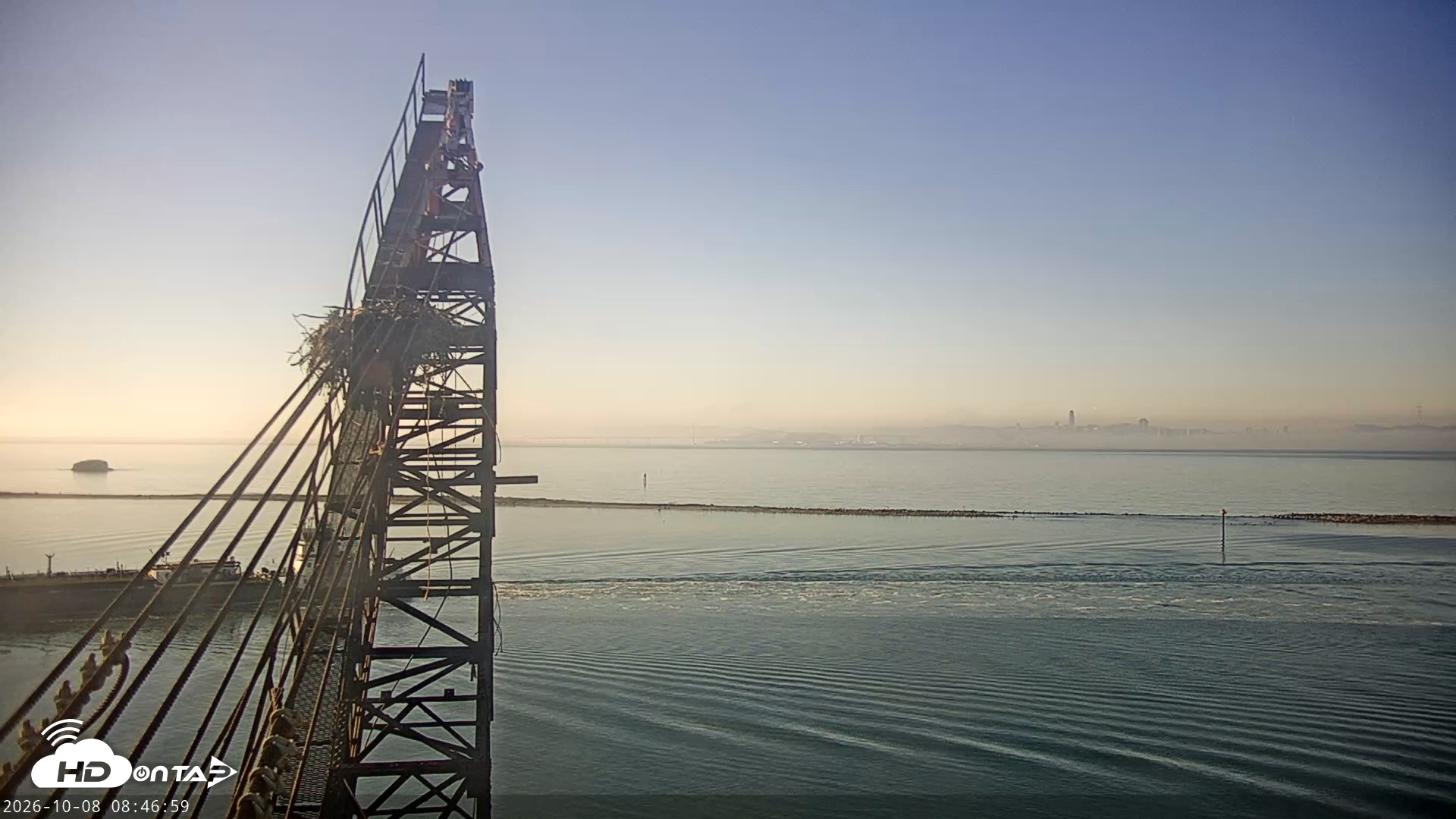 Snapshot of San Francisco Bay Osprey Nest Live Webcam taken Oct 8, 2026, 8:47am PDT