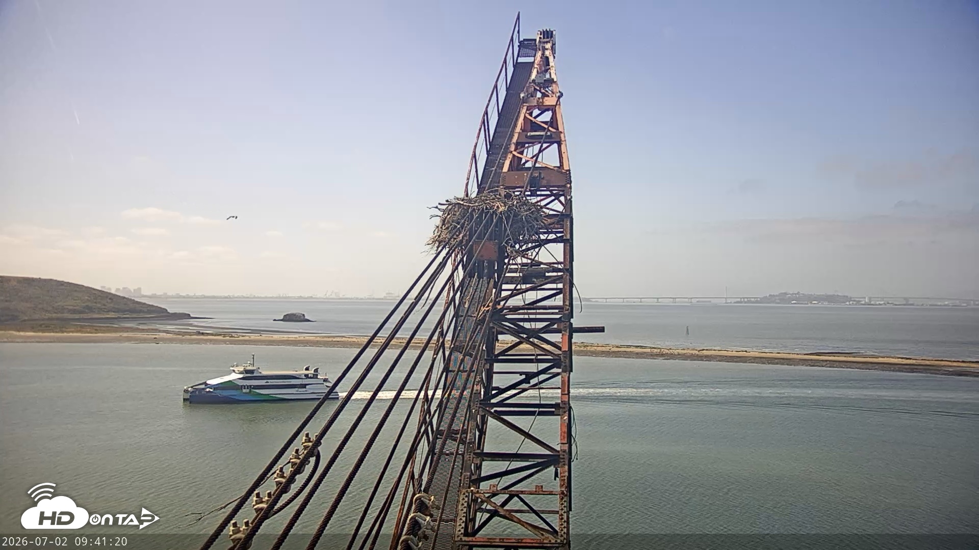 Snapshot of San Francisco Bay Osprey Nest Live Webcam taken Jul 2, 2026, 9:42am PDT