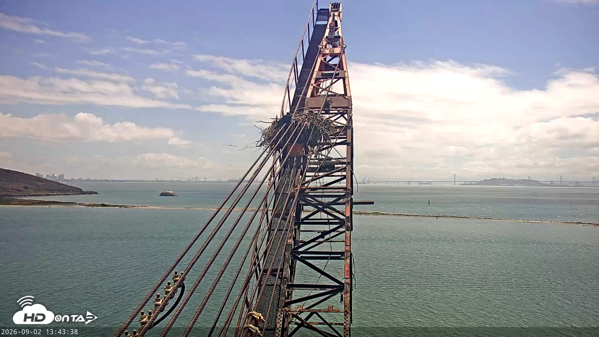 Snapshot of San Francisco Bay Osprey Nest Live Webcam taken Sep 2, 2026, 1:44pm PDT