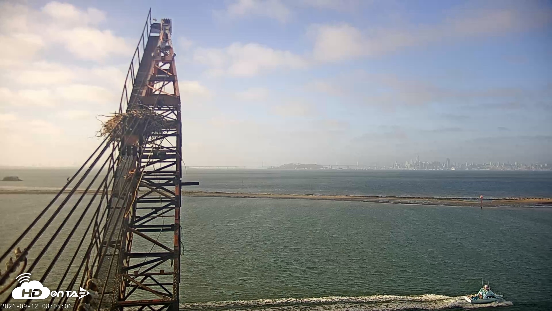 Snapshot of San Francisco Bay Osprey Nest Live Webcam taken Sep 12, 2026, 8:05am PDT
