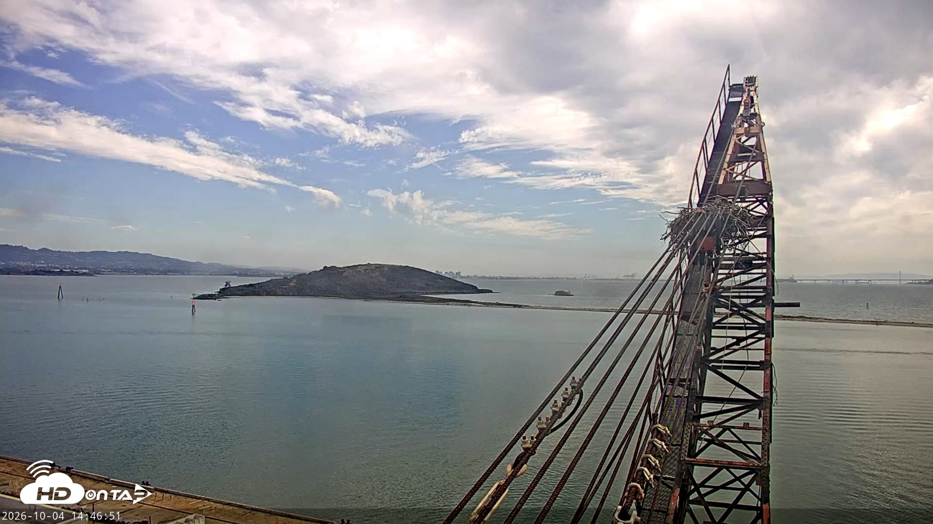 Snapshot of San Francisco Bay Osprey Nest Live Webcam taken Oct 4, 2026, 2:47pm PDT