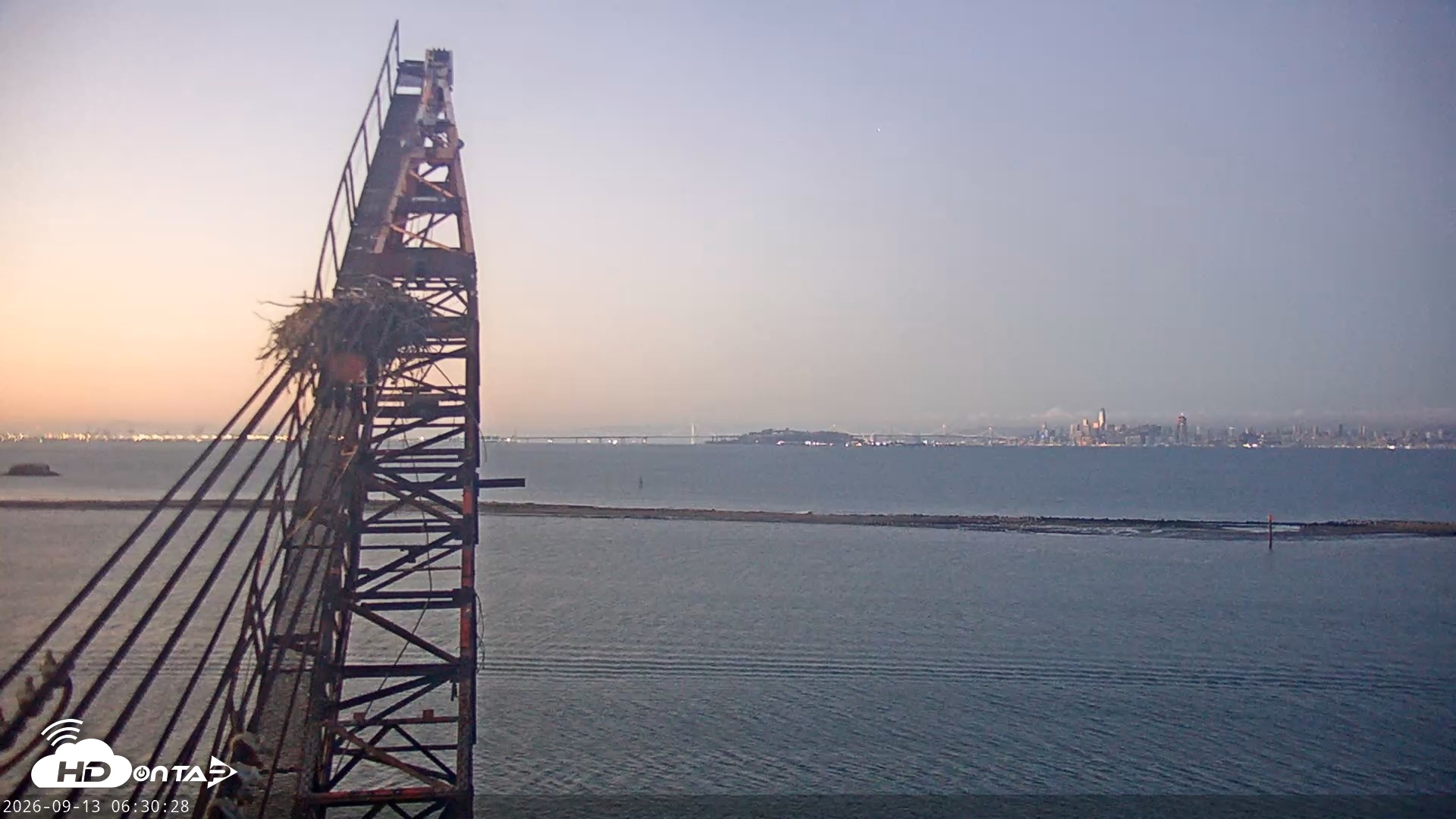 Snapshot of San Francisco Bay Osprey Nest Live Webcam taken Sep 13, 2026, 6:31am PDT