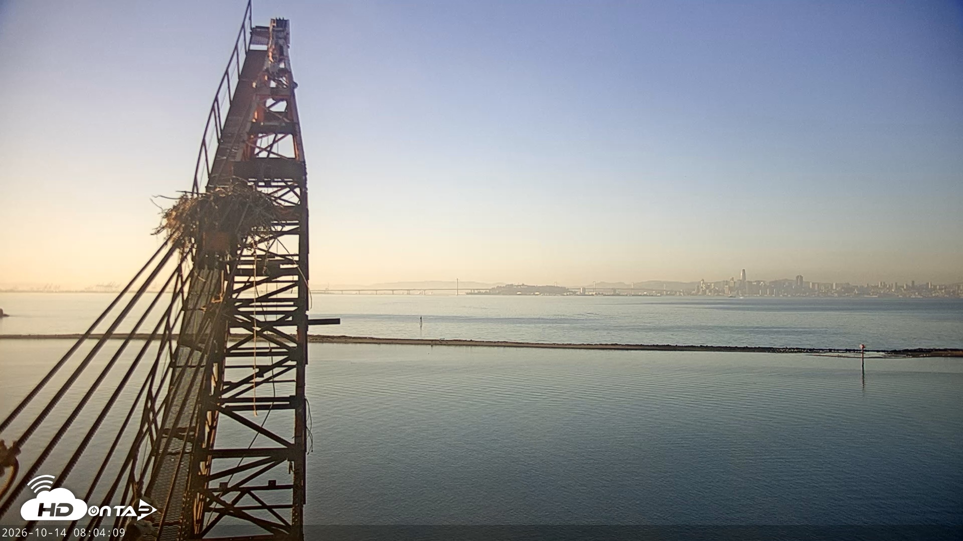 Snapshot of San Francisco Bay Osprey Nest Live Webcam taken Oct 14, 2026, 8:04am PDT