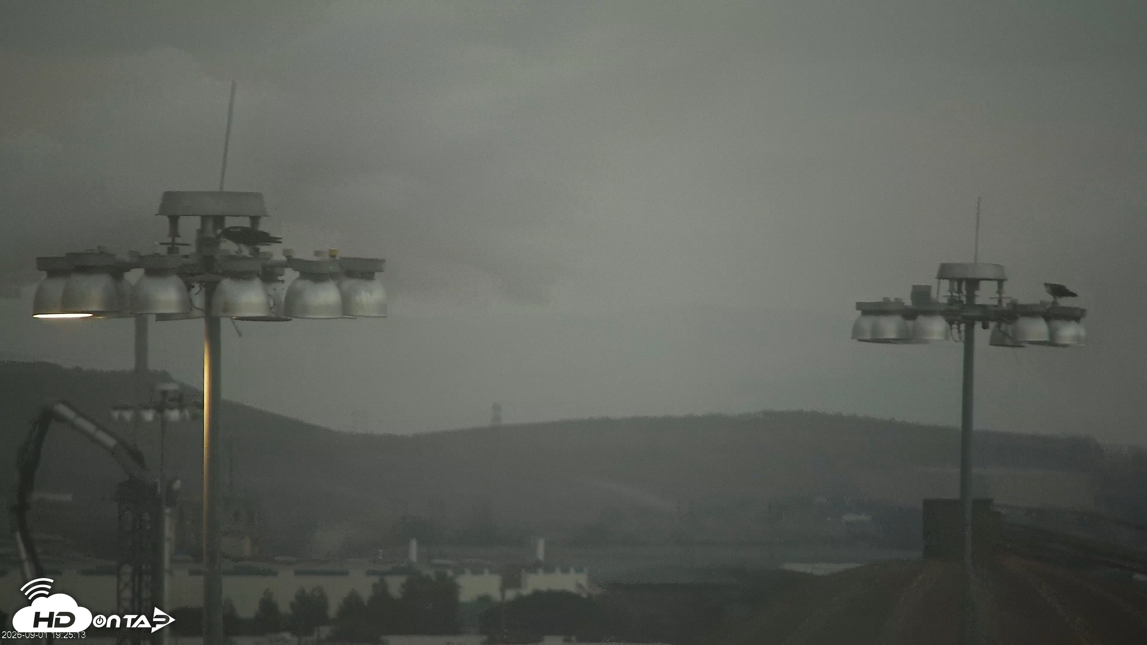 Snapshot of San Francisco Bay Osprey Nest Live Webcam taken Sep 1, 2026, 7:25pm PDT