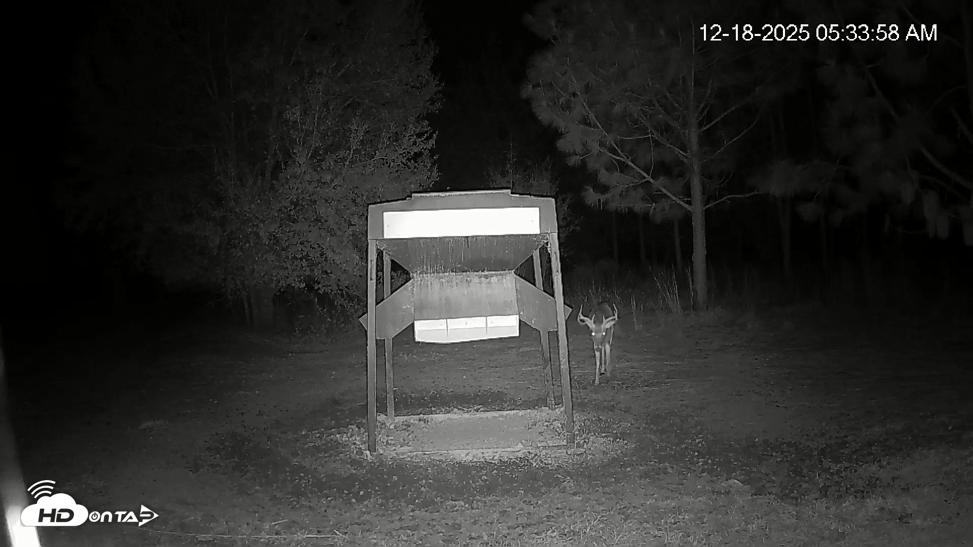 Snapshot of Leesburg Georgia Live Deer Feeder Webcam taken Dec 18, 2025, 5:35am EST