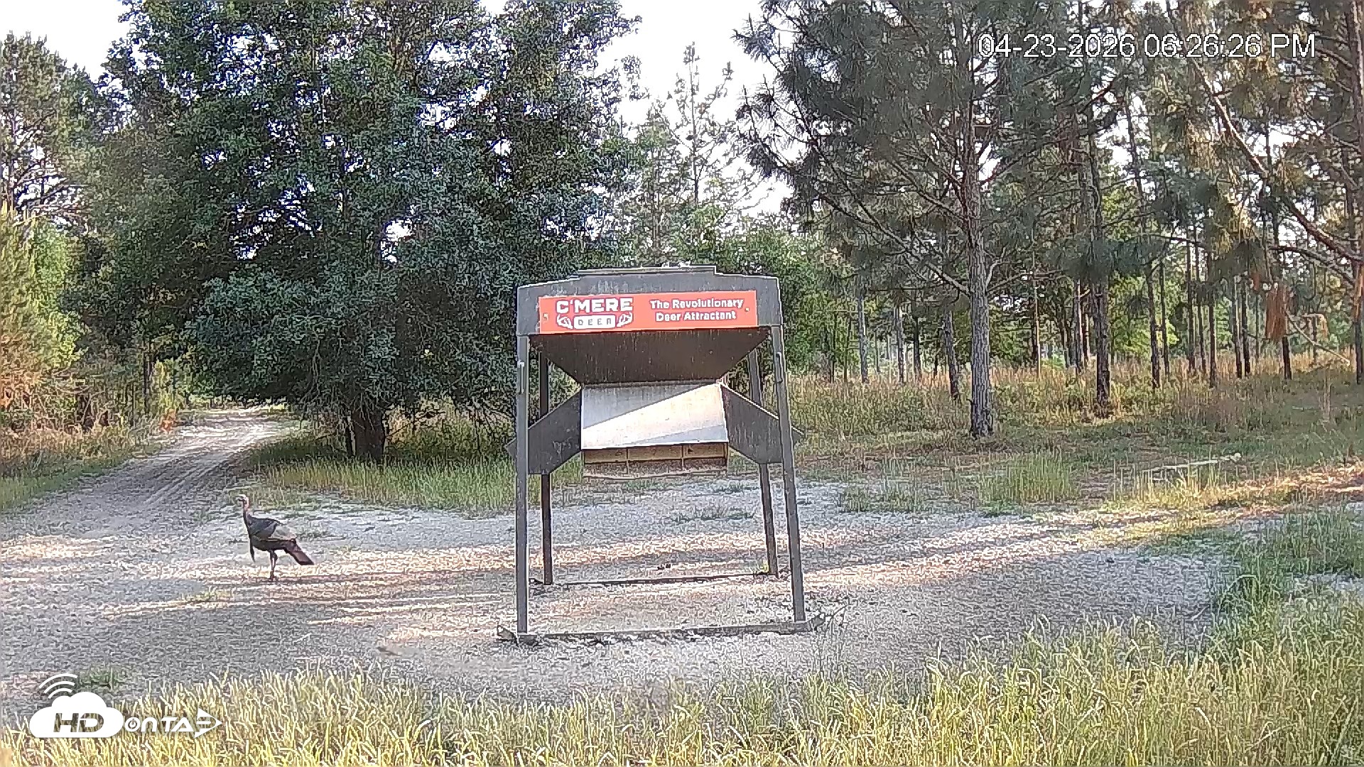 Snapshot of Leesburg Georgia Live Deer Feeder Webcam taken Apr 23, 2026, 6:26pm EDT