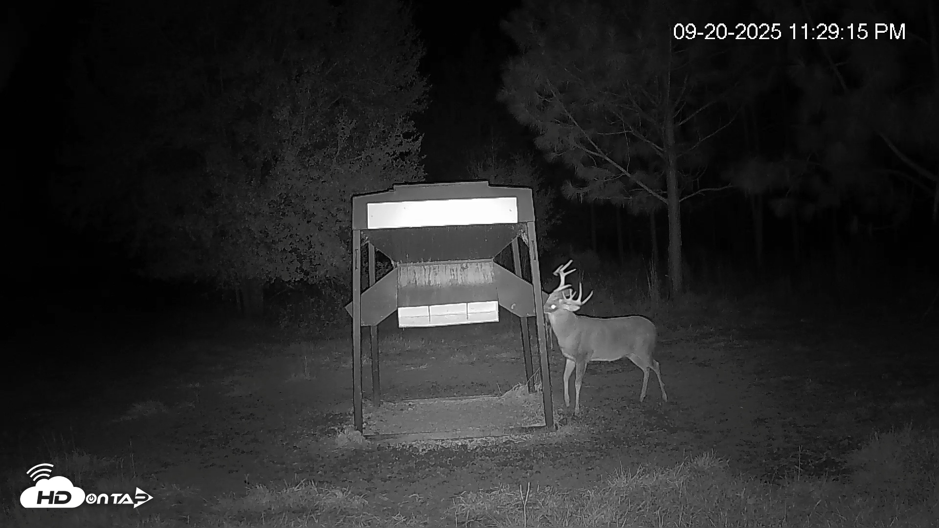 Snapshot of Leesburg Georgia Live Deer Feeder Webcam taken Sep 20, 2025, 11:29pm EDT