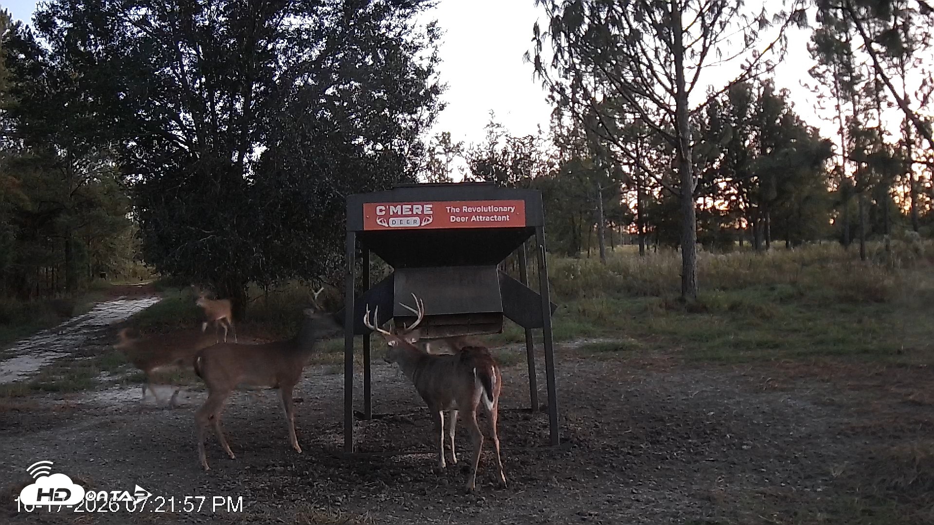 Snapshot of Leesburg Georgia Live Deer Feeder Webcam taken Oct 17, 2026, 7:22pm EDT