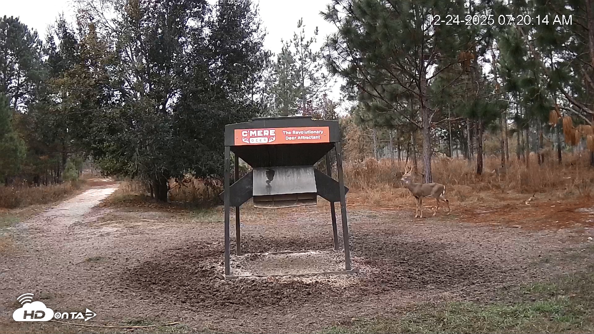 Snapshot of Leesburg Georgia Live Deer Feeder Webcam taken Dec 24, 2025, 7:20am EST