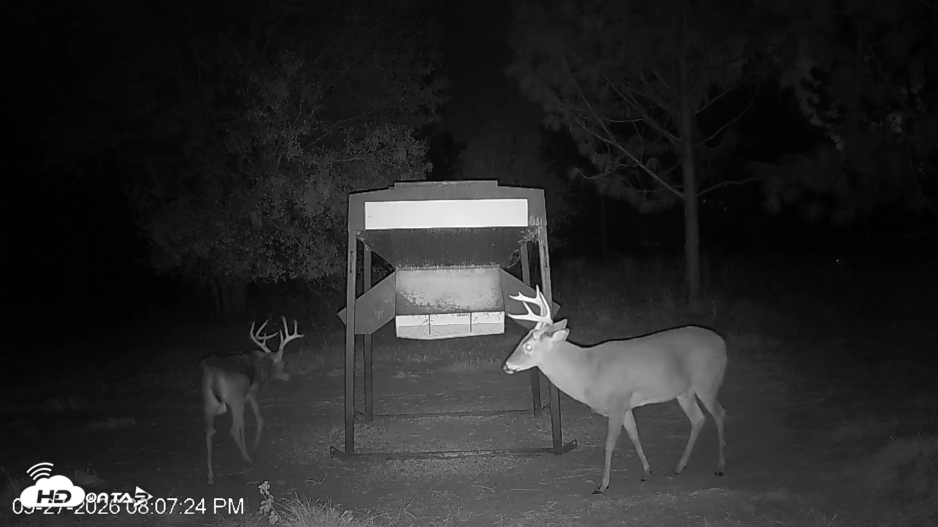 Snapshot of Leesburg Georgia Live Deer Feeder Webcam taken Sep 27, 2026, 8:07pm EDT