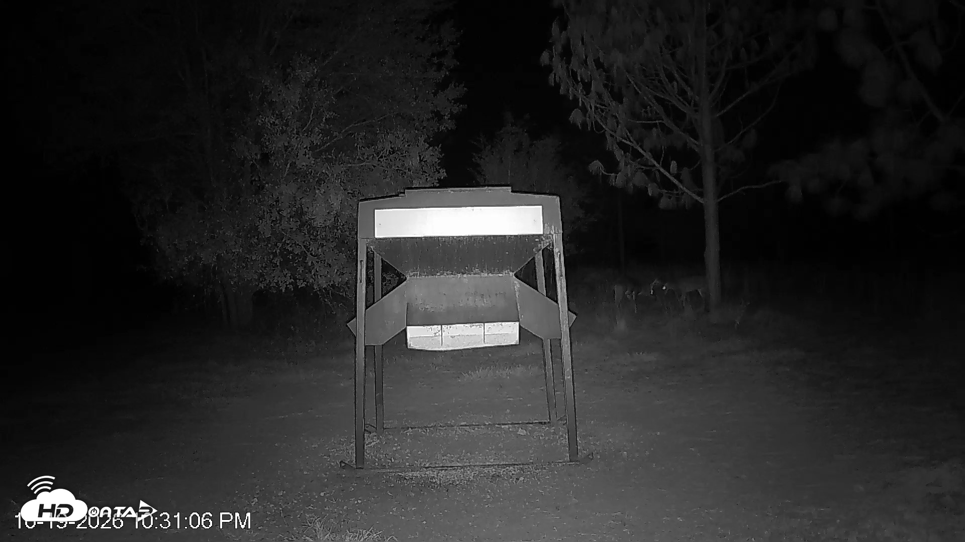 Snapshot of Leesburg Georgia Live Deer Feeder Webcam taken Oct 19, 2026, 10:31pm EDT