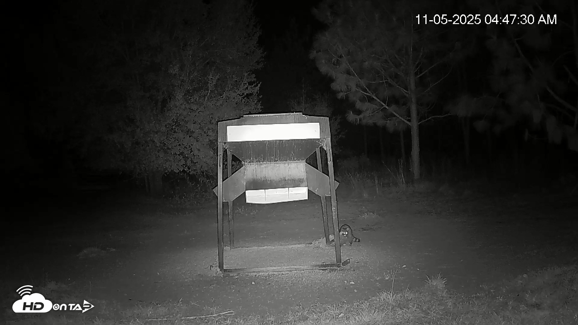 Snapshot of Leesburg Georgia Live Deer Feeder Webcam taken Nov 5, 2025, 4:47am EST