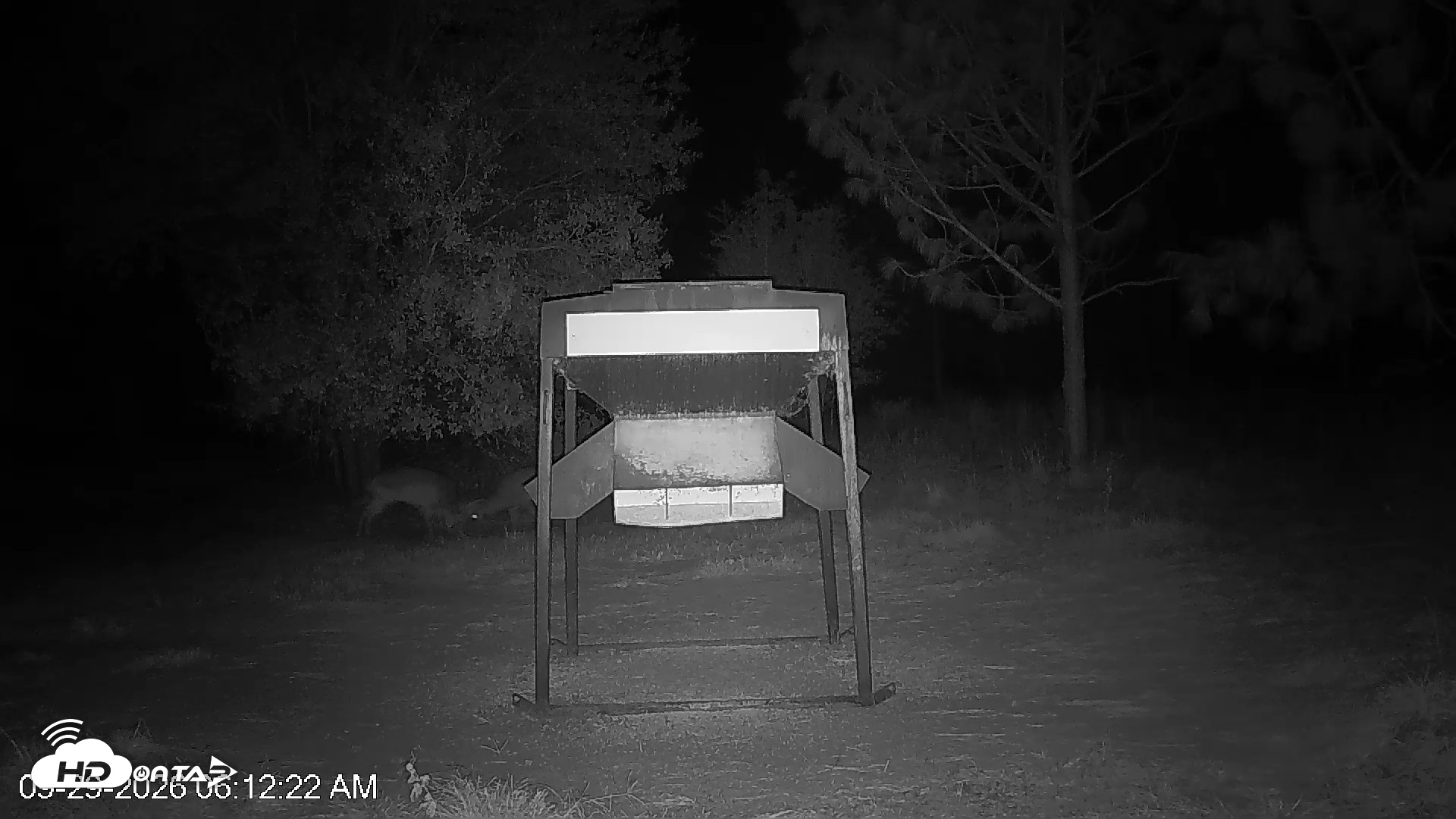 Snapshot of Leesburg Georgia Live Deer Feeder Webcam taken Sep 29, 2026, 6:12am EDT