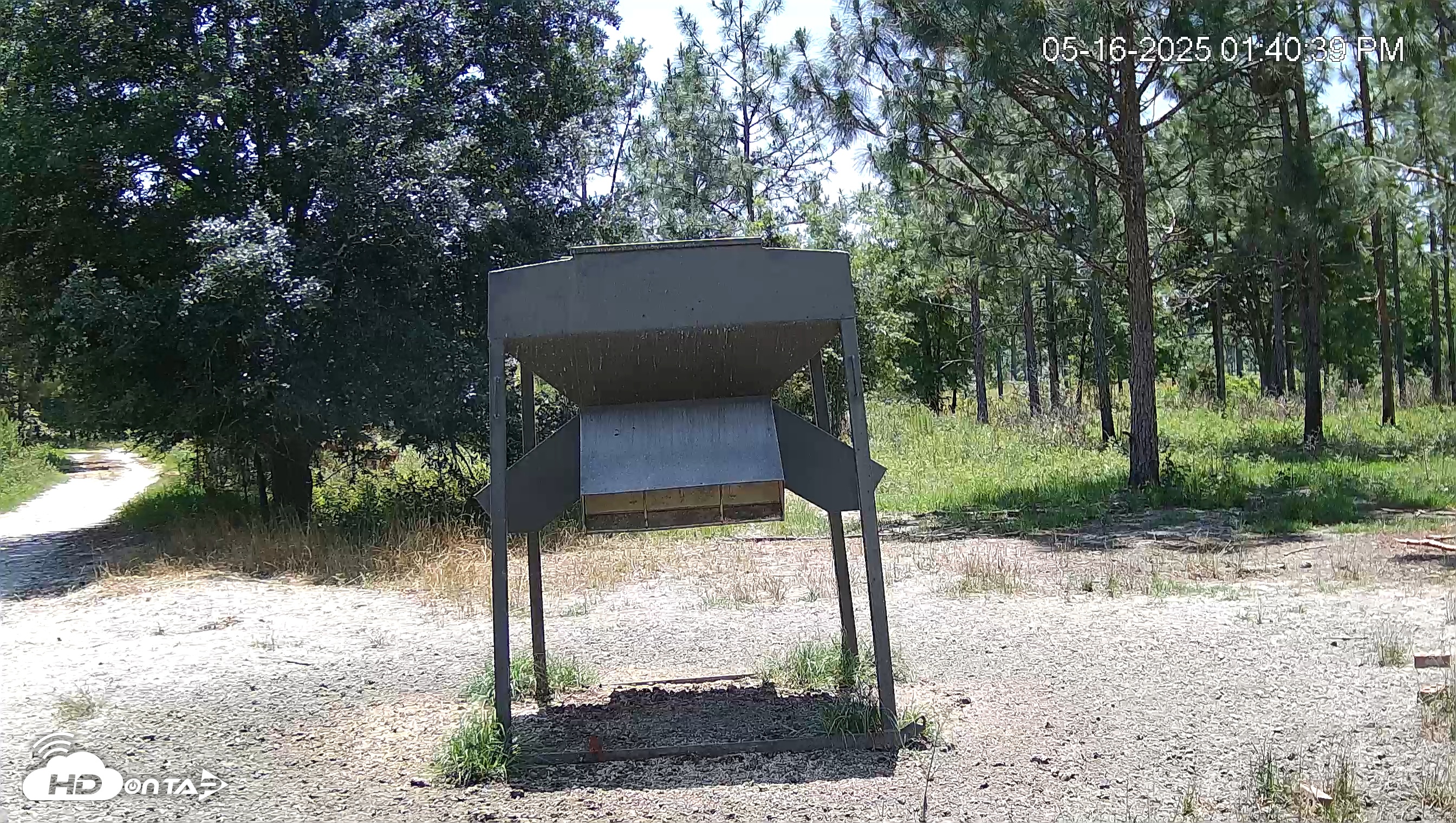 Snapshot of Leesburg Georgia Live Deer Feeder Webcam taken May 16, 2025, 1:40pm EDT