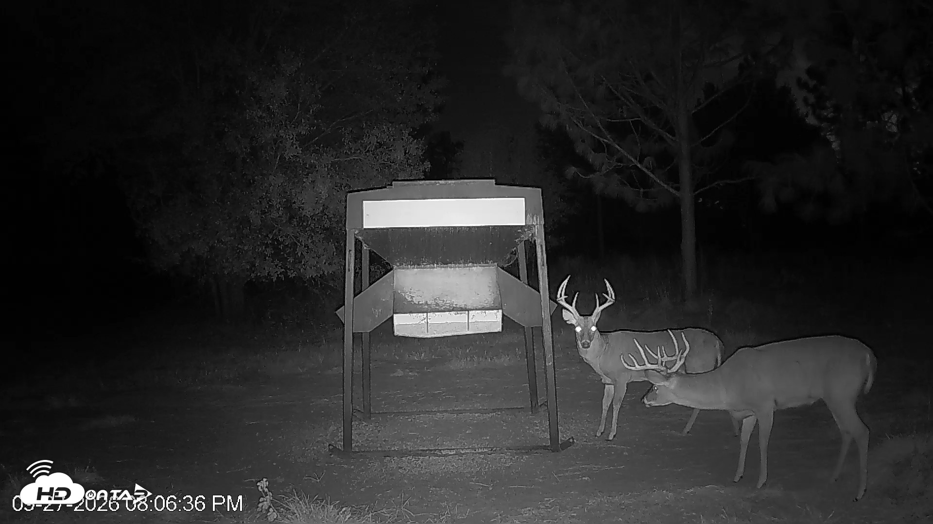 Snapshot of Leesburg Georgia Live Deer Feeder Webcam taken Sep 27, 2026, 8:06pm EDT